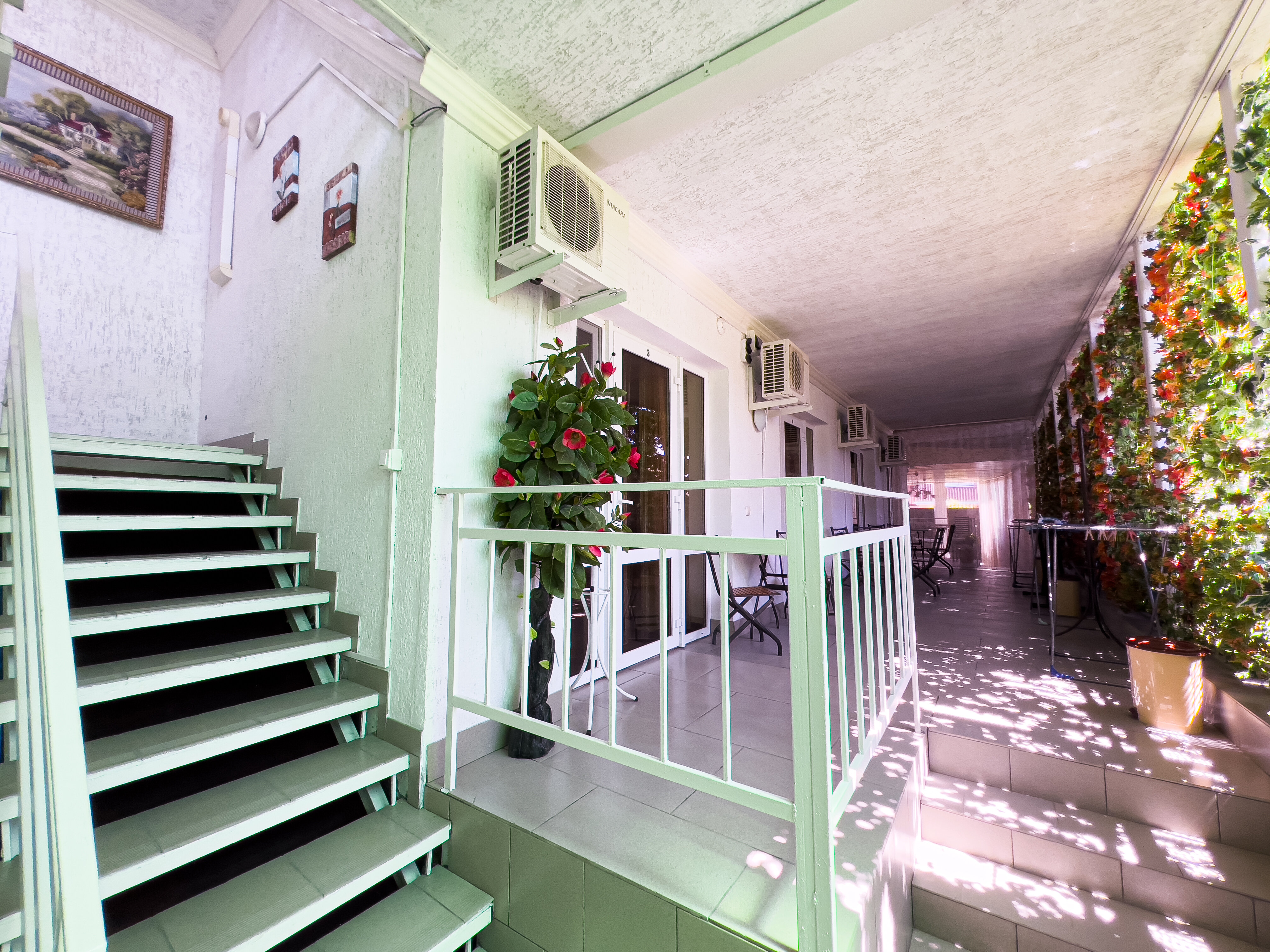 Фото Дельфин на Черноморской