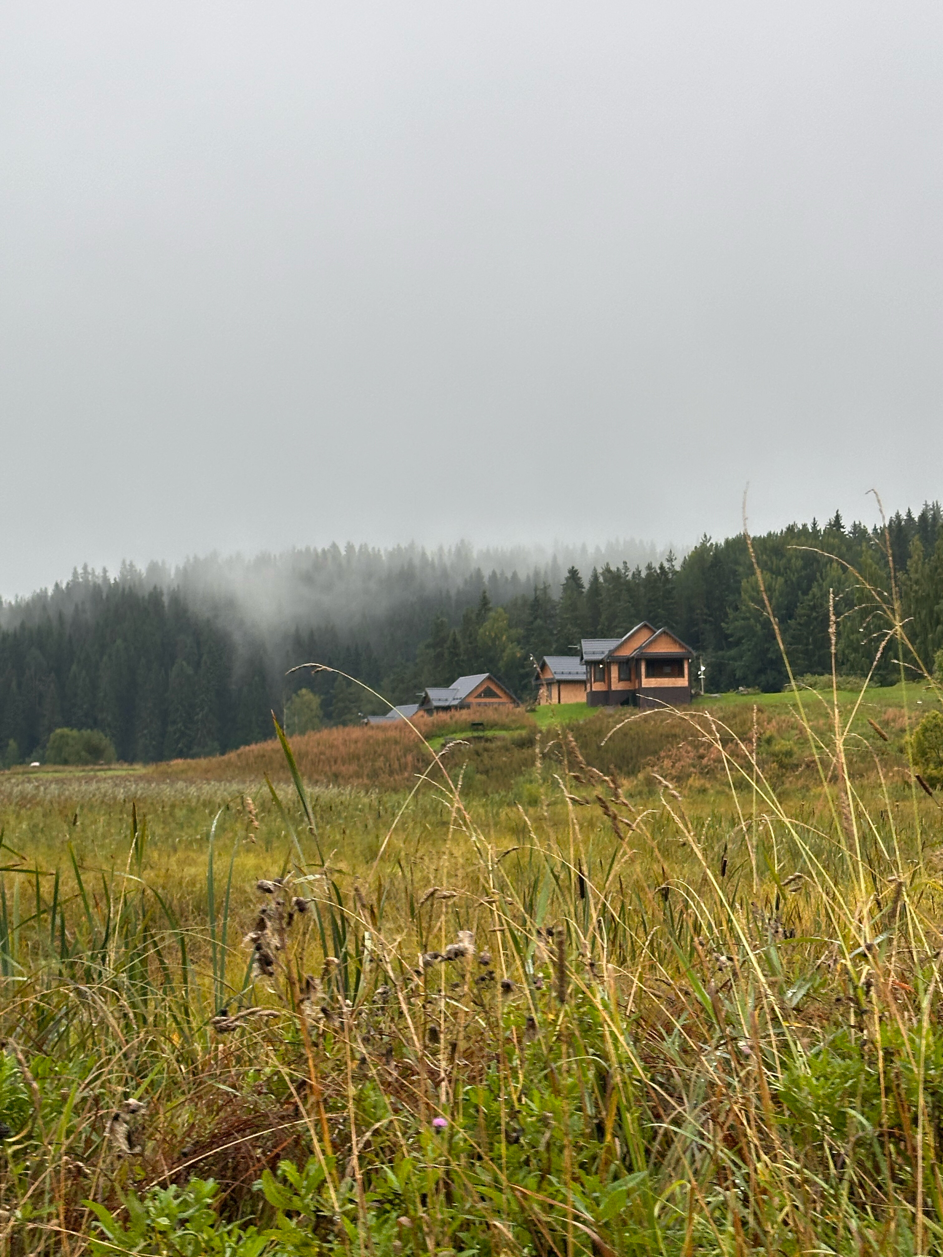 Фото Киркколампи
