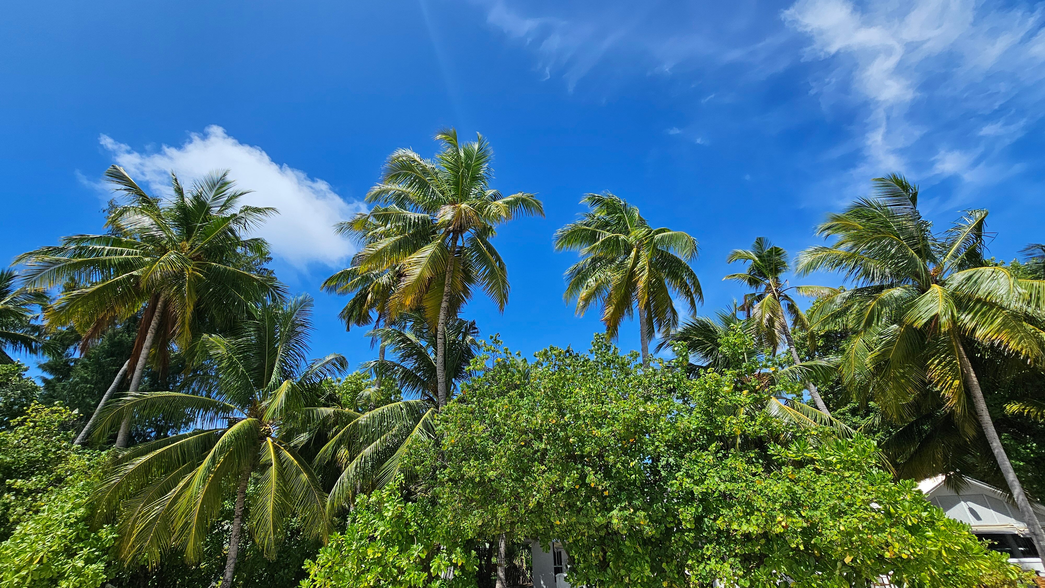 Фото Equator Village 