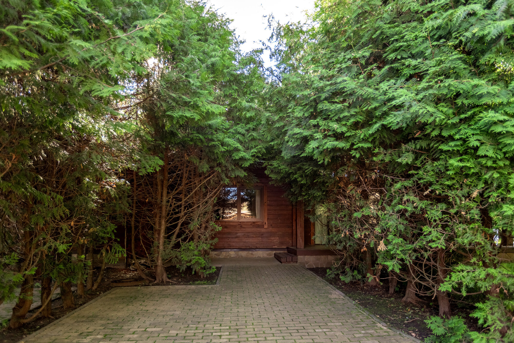 Фото Завидово-2