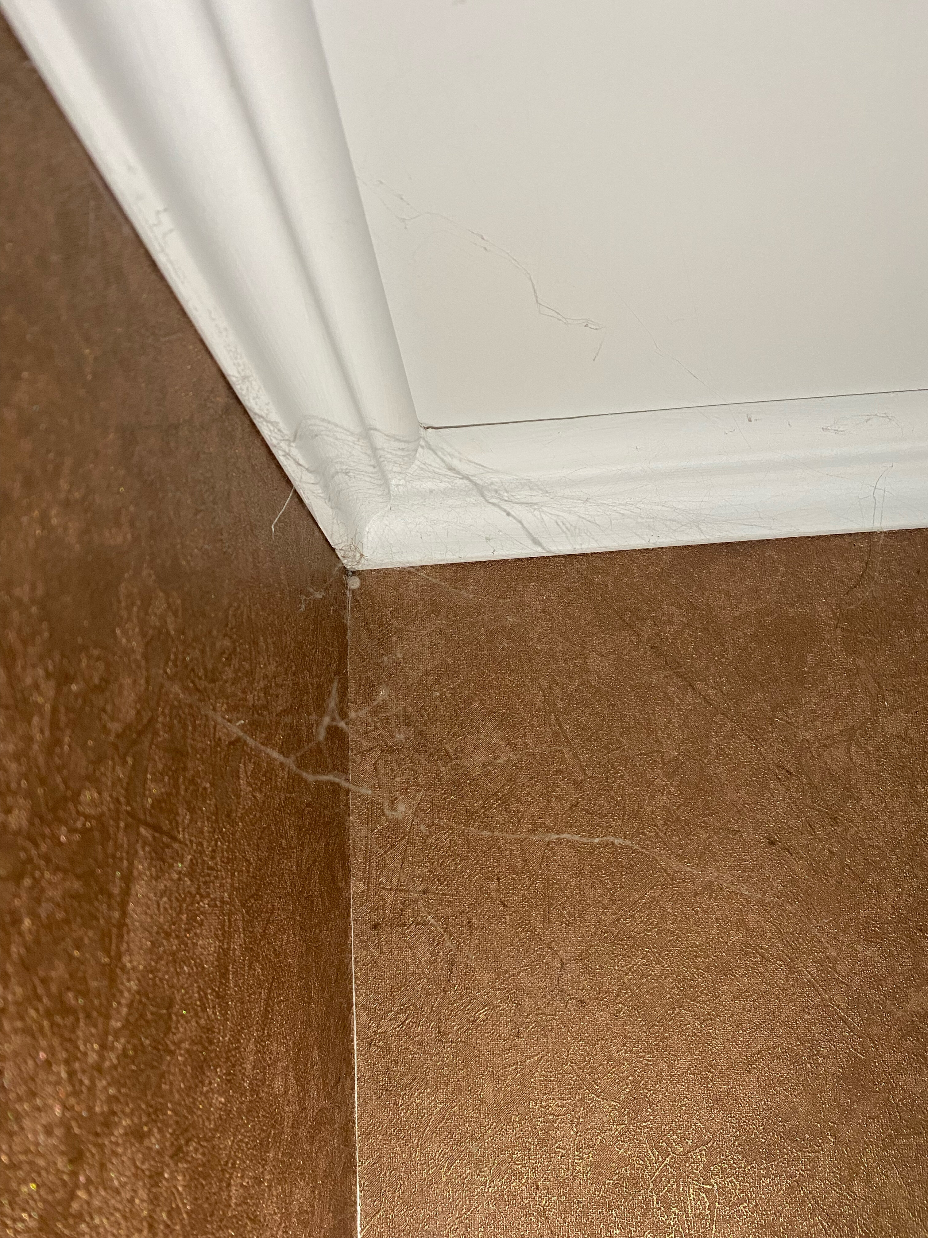 Фото Семейный