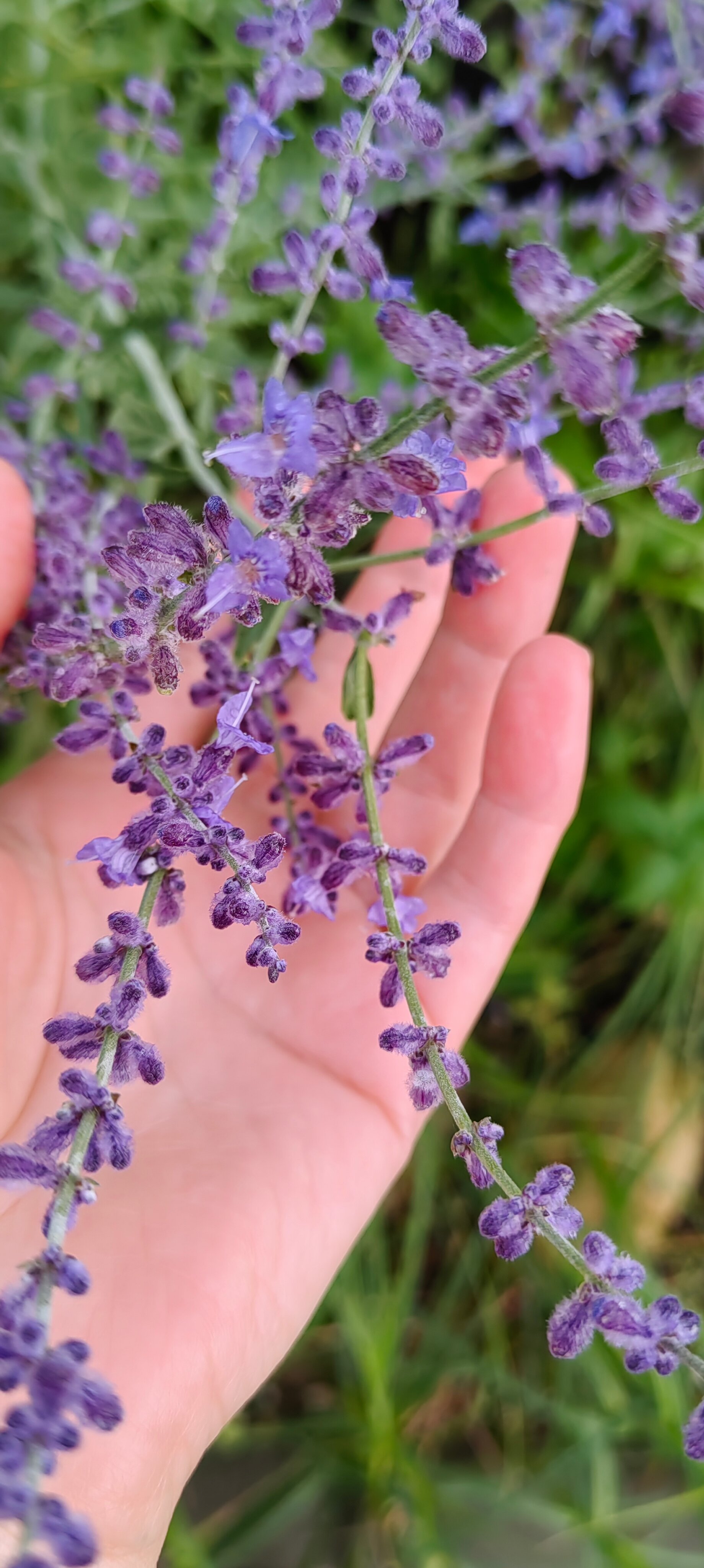 Фото Магия природы