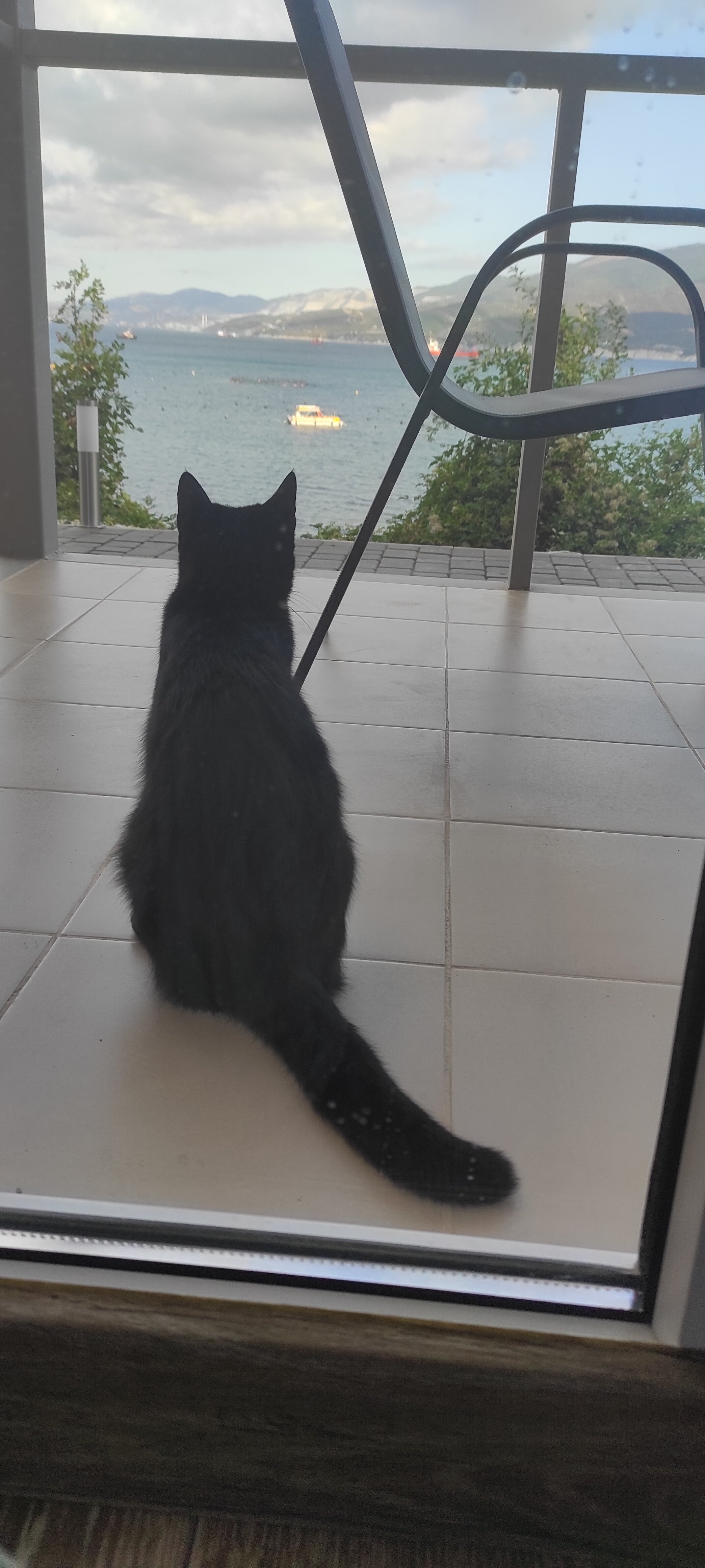 Фото 1836 Кабардинка