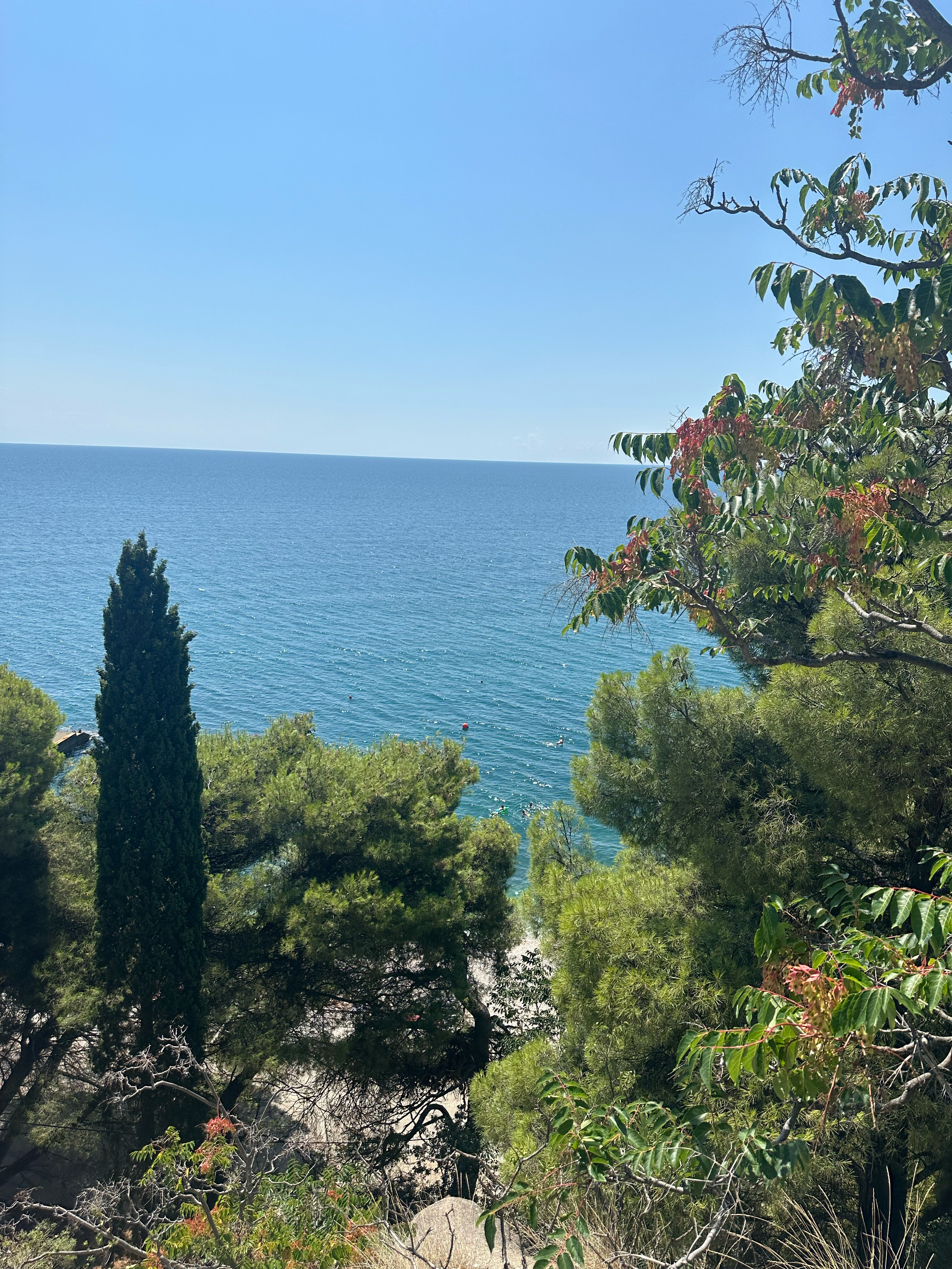 Фото Вероника