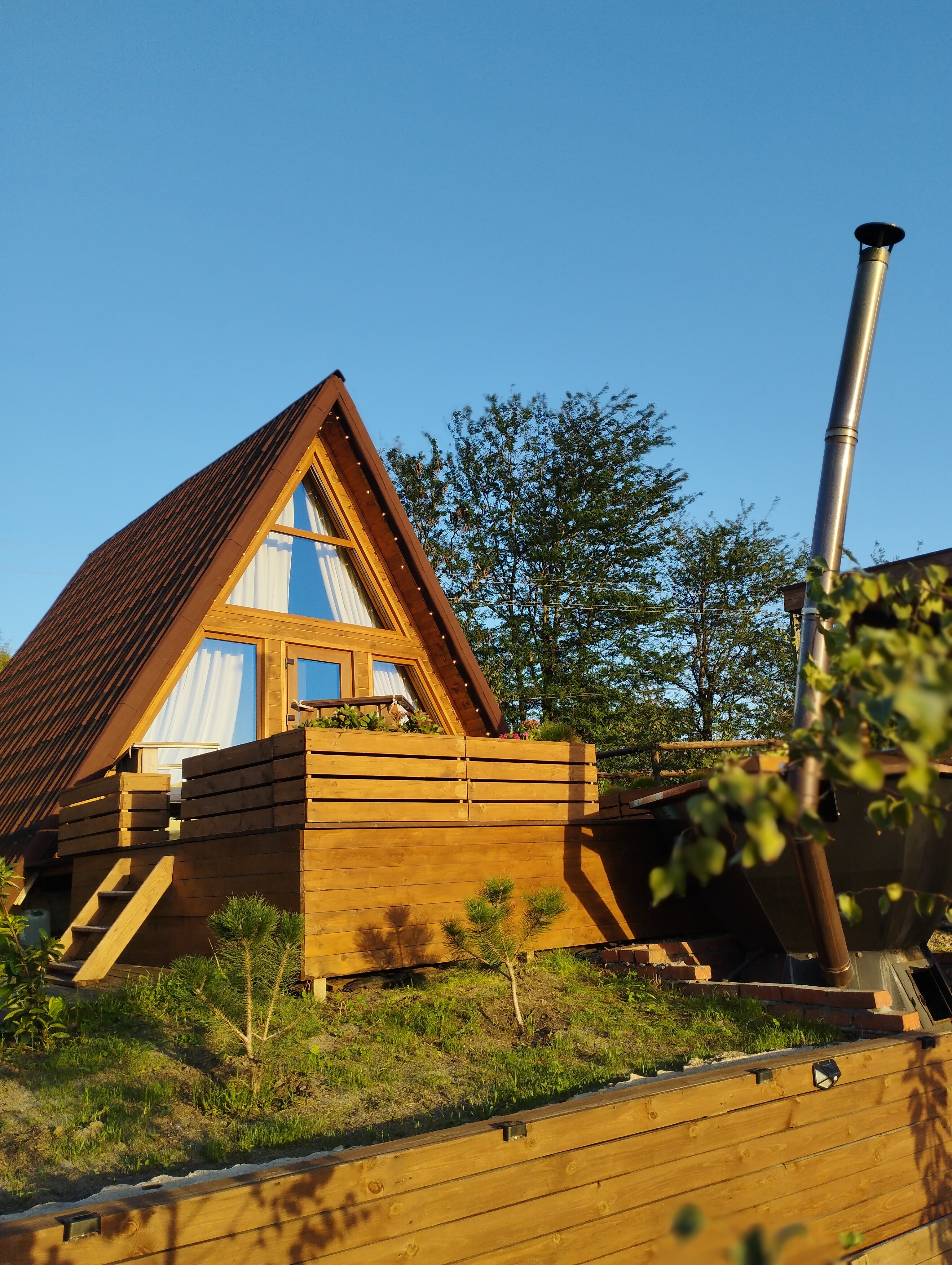 Фото Гнездо