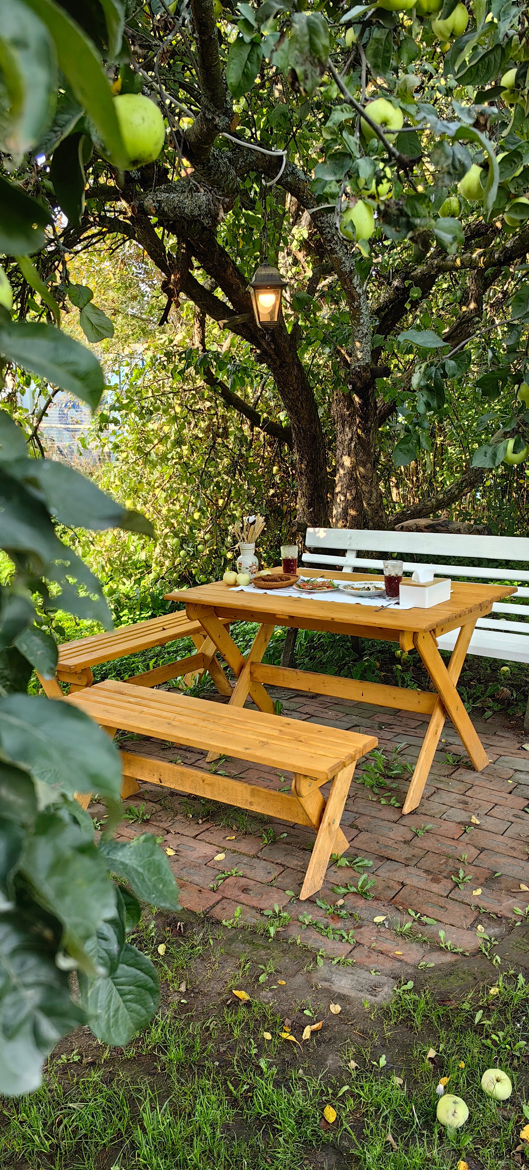 Фото Алая дача