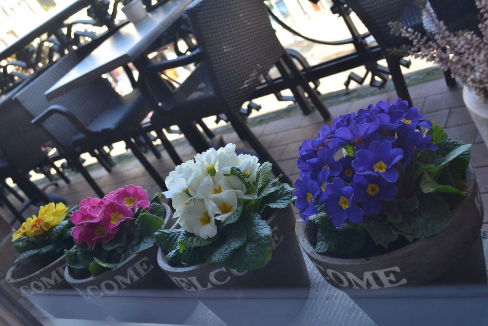 Фото Hotel Clemens Amsterdam