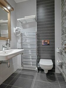 отель Hotel Viktor