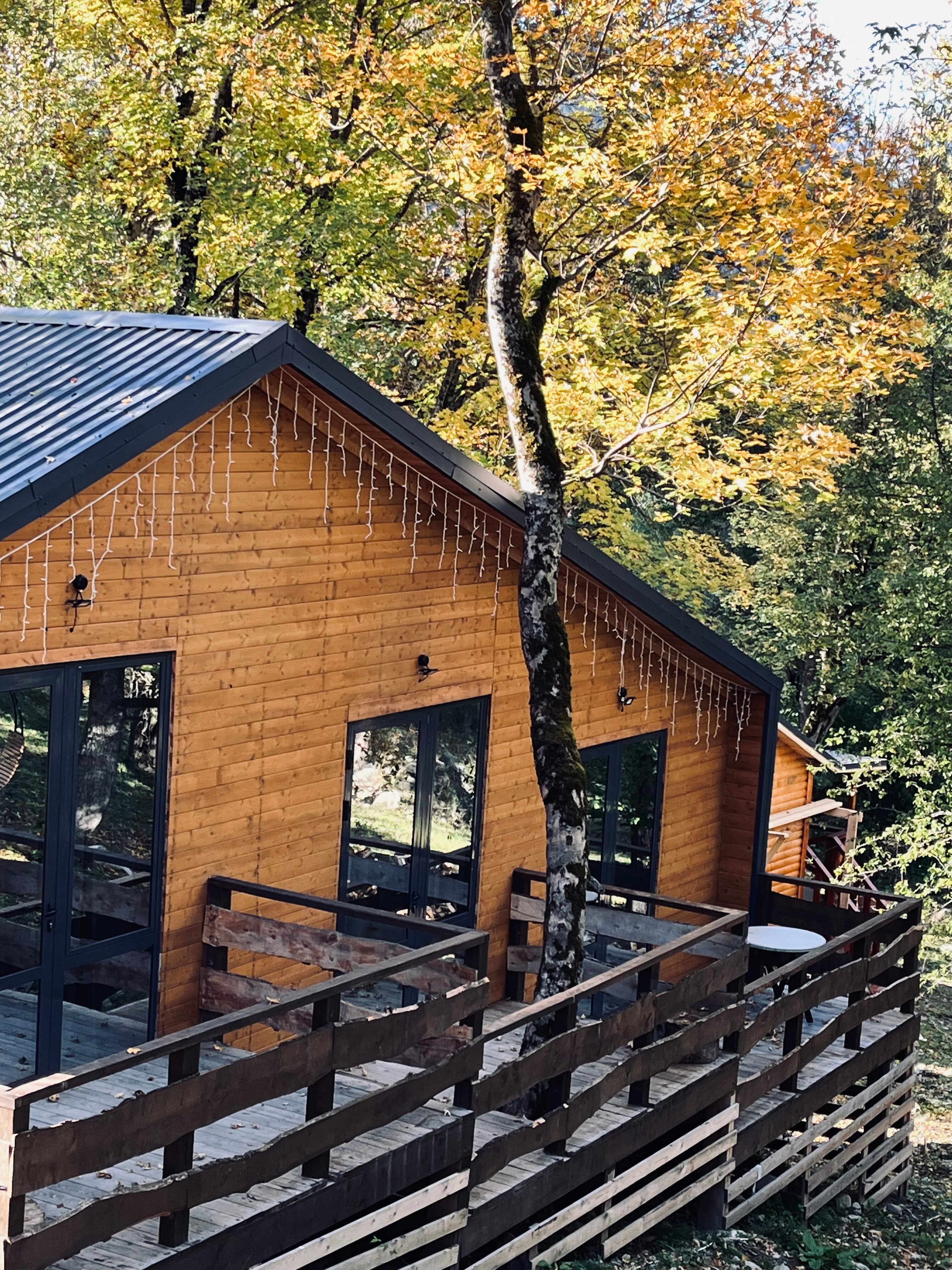 Фото Тишина