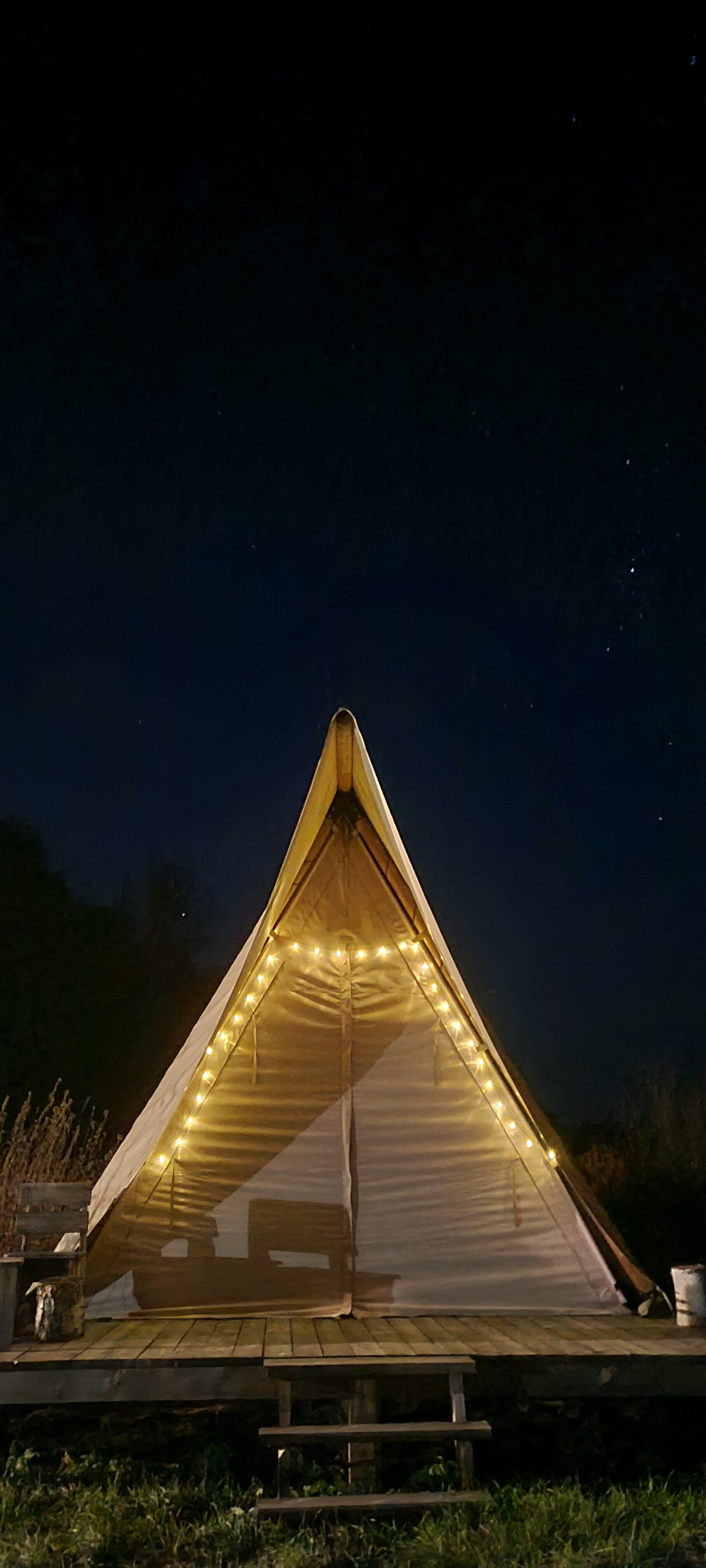 Фото Глэмпинг Стрекоза