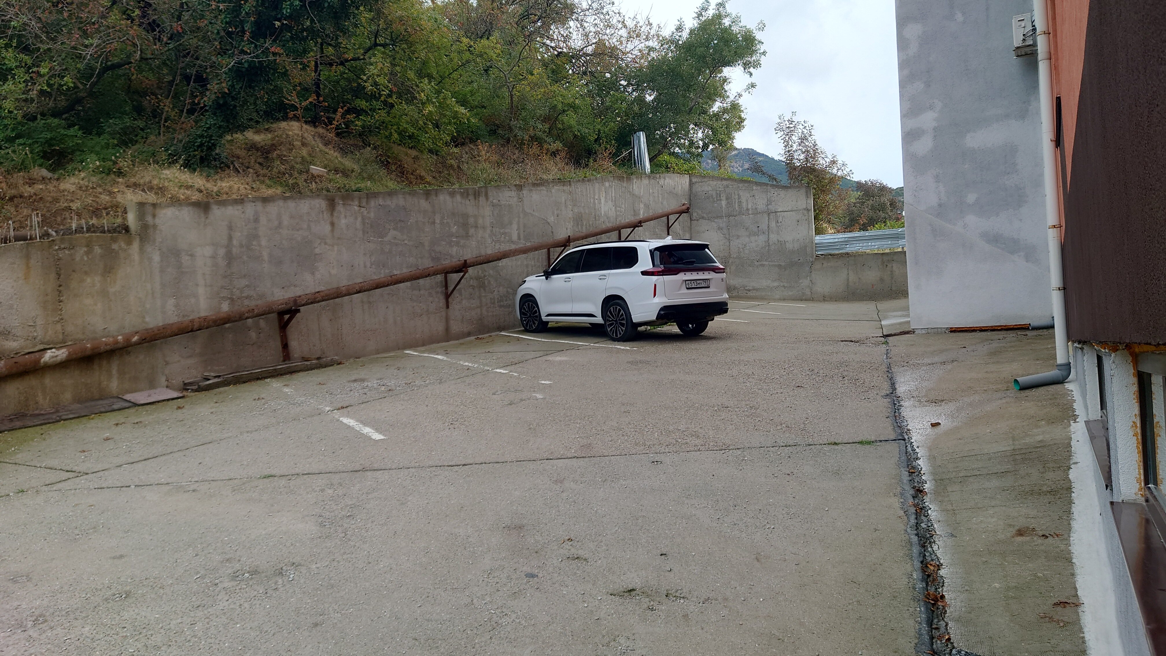 Фото Рапана