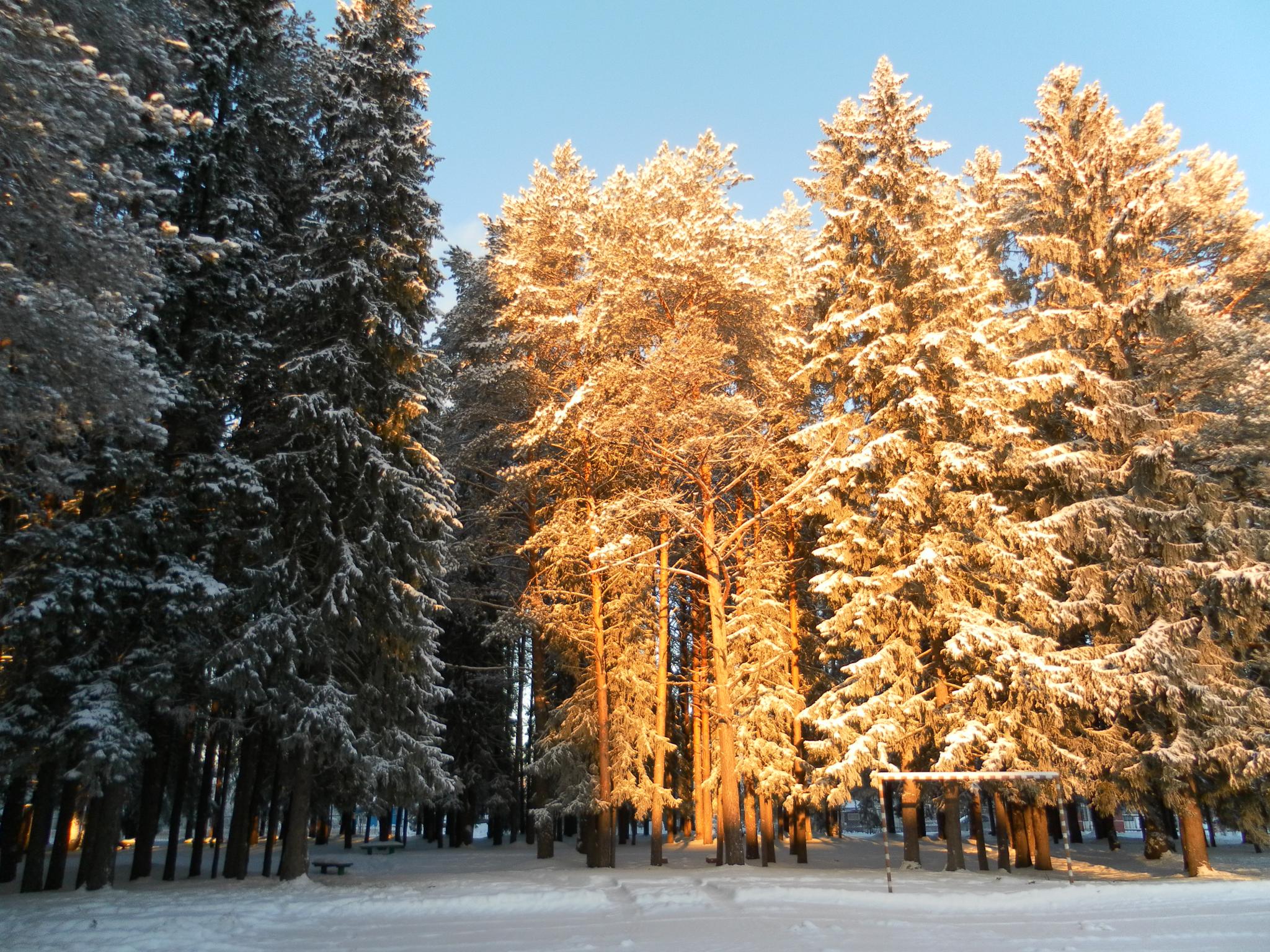 Фото Солониха
