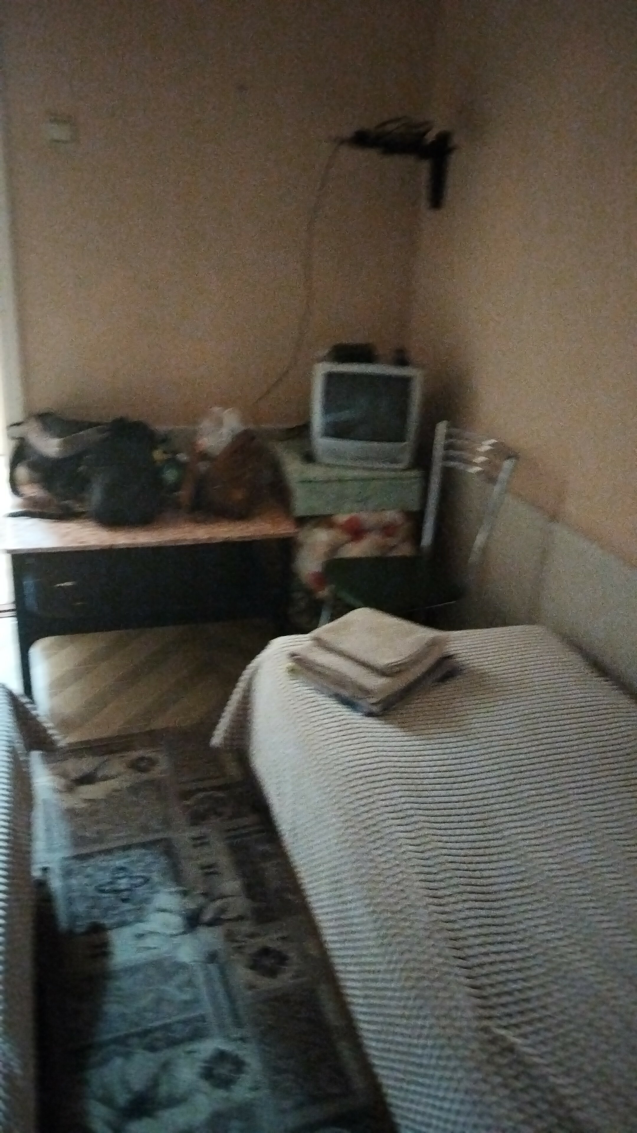 Фото Лазоревая