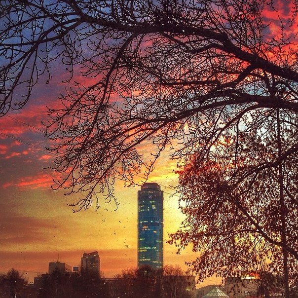 Фото Высоцкий