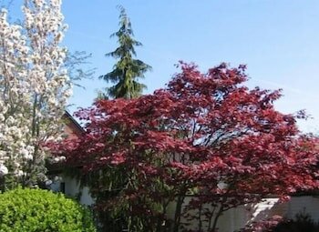 Фото Hotel Am Wasserturm