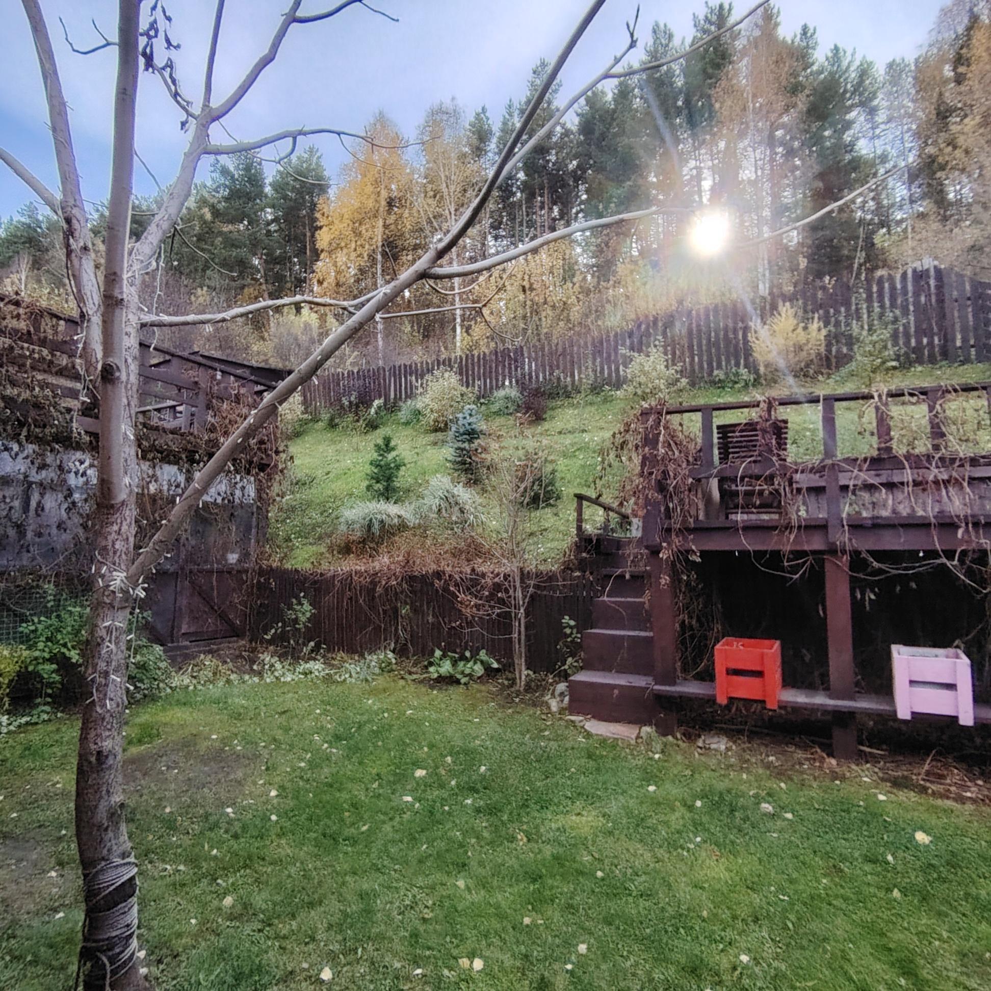 Фото Горная Пчела