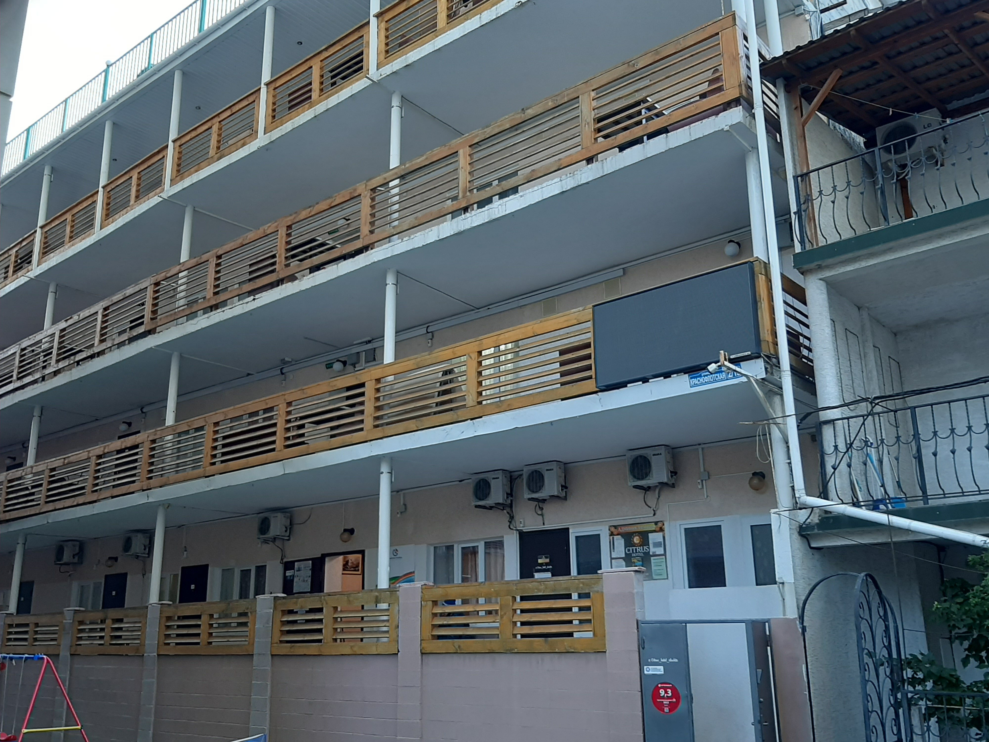 Фото Цитрус