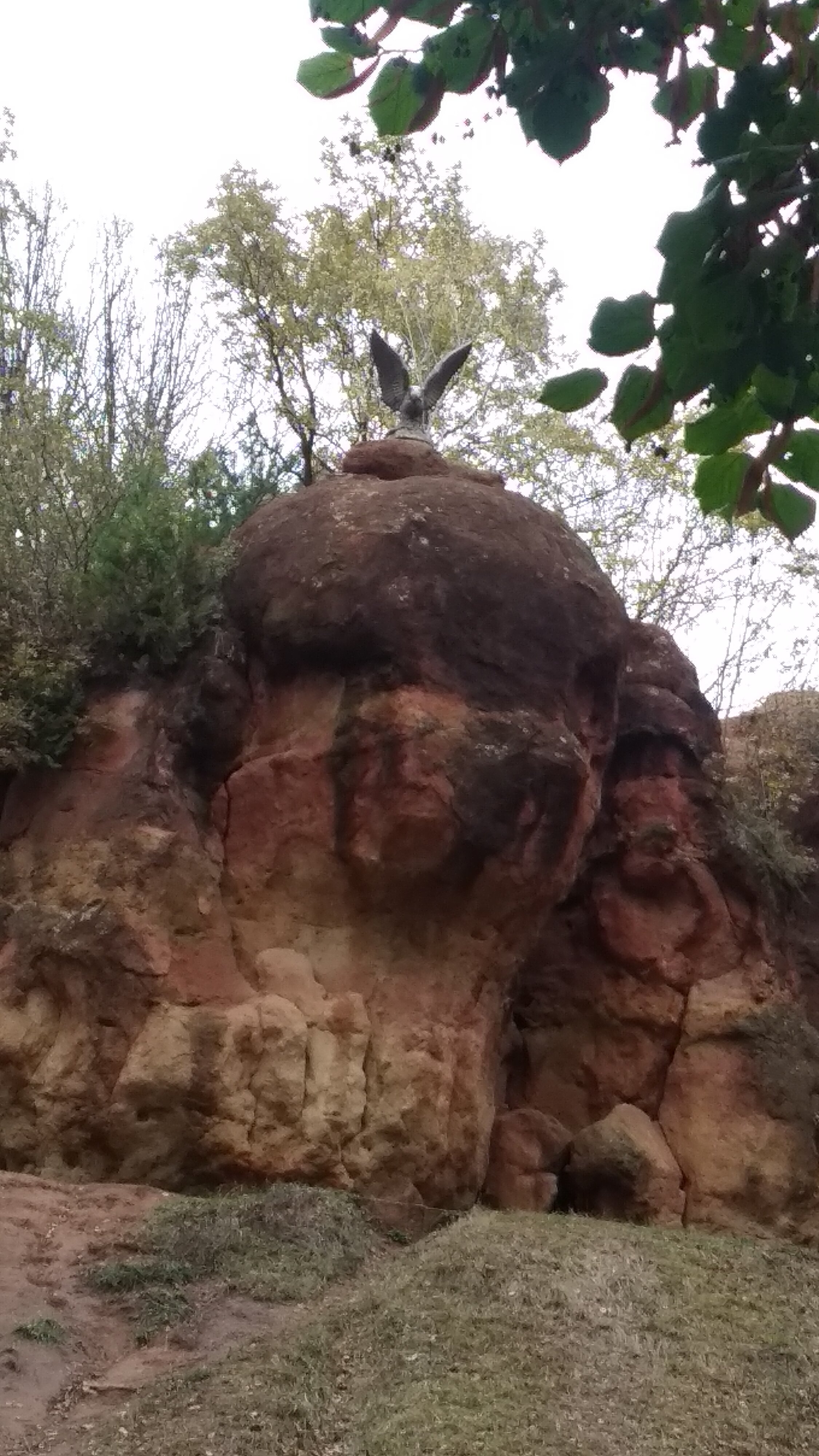 Фото Колизей на Ленина