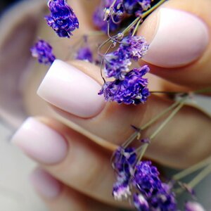 Honey (Podolsk, Ikhtimanskaya Street, 3), nail salon