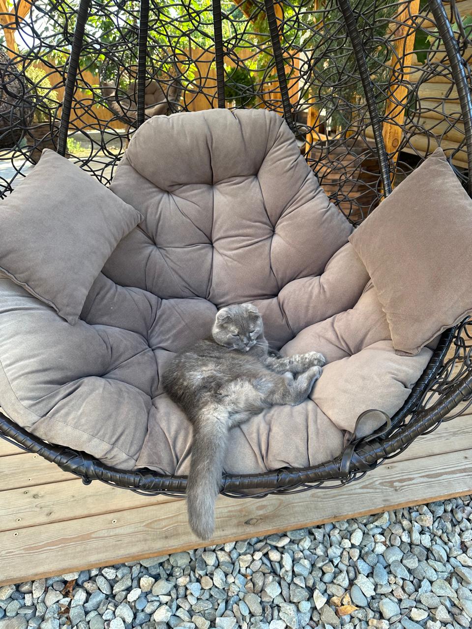 Фото Kuchugury_village