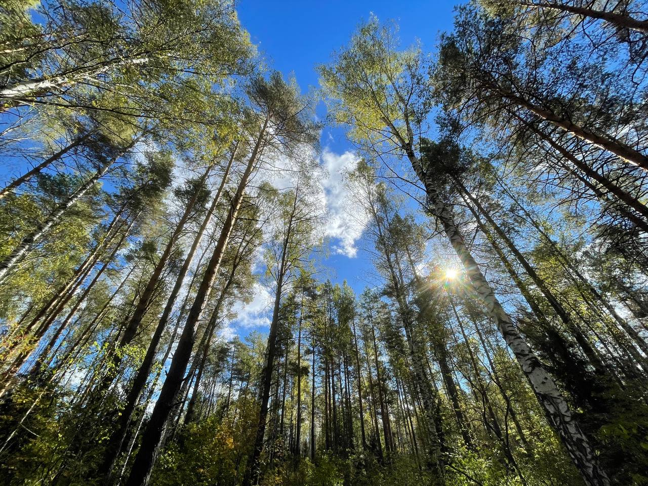 Фото Парк-отель Макаренко