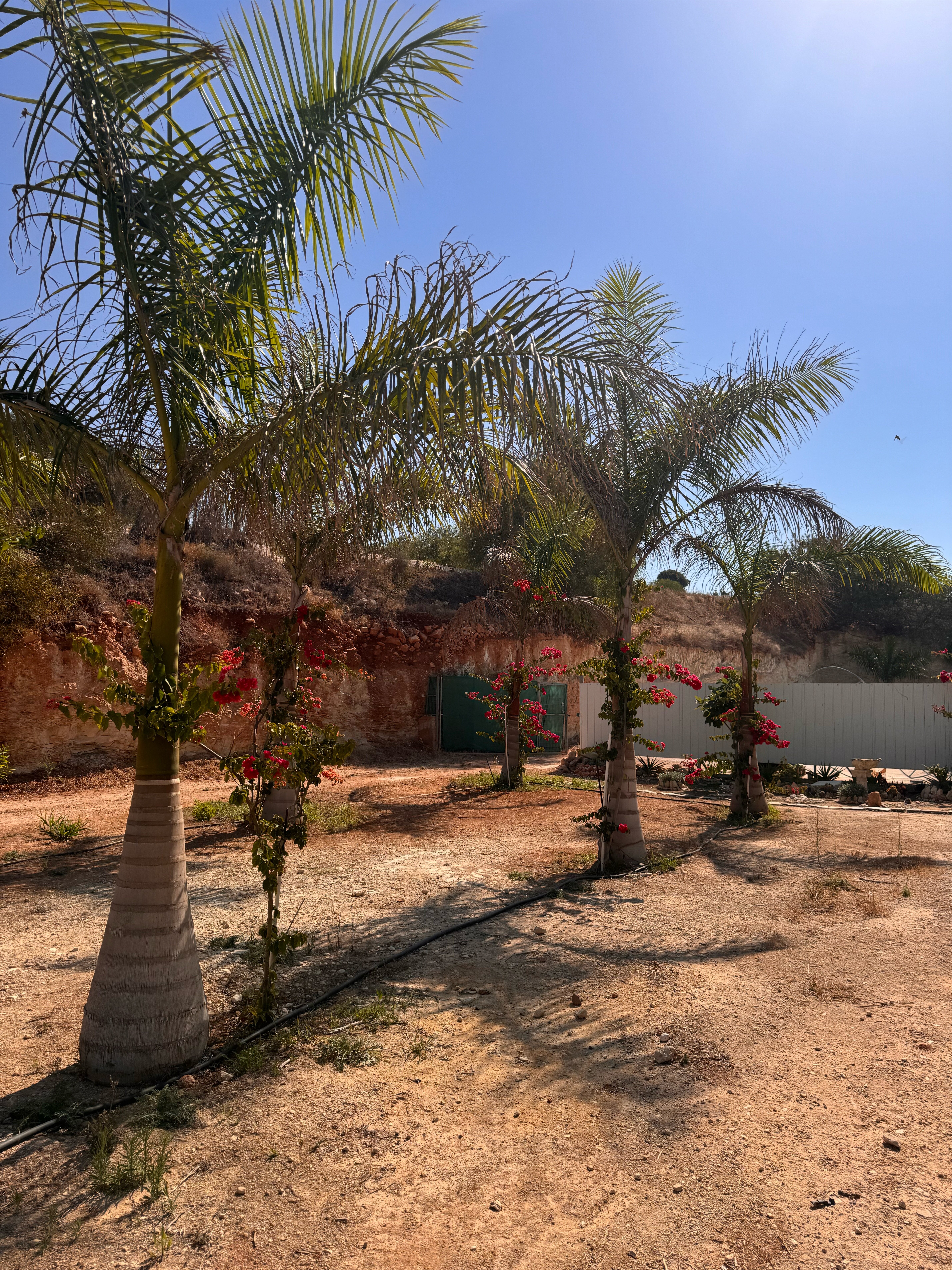 Фото Corfu Hotel