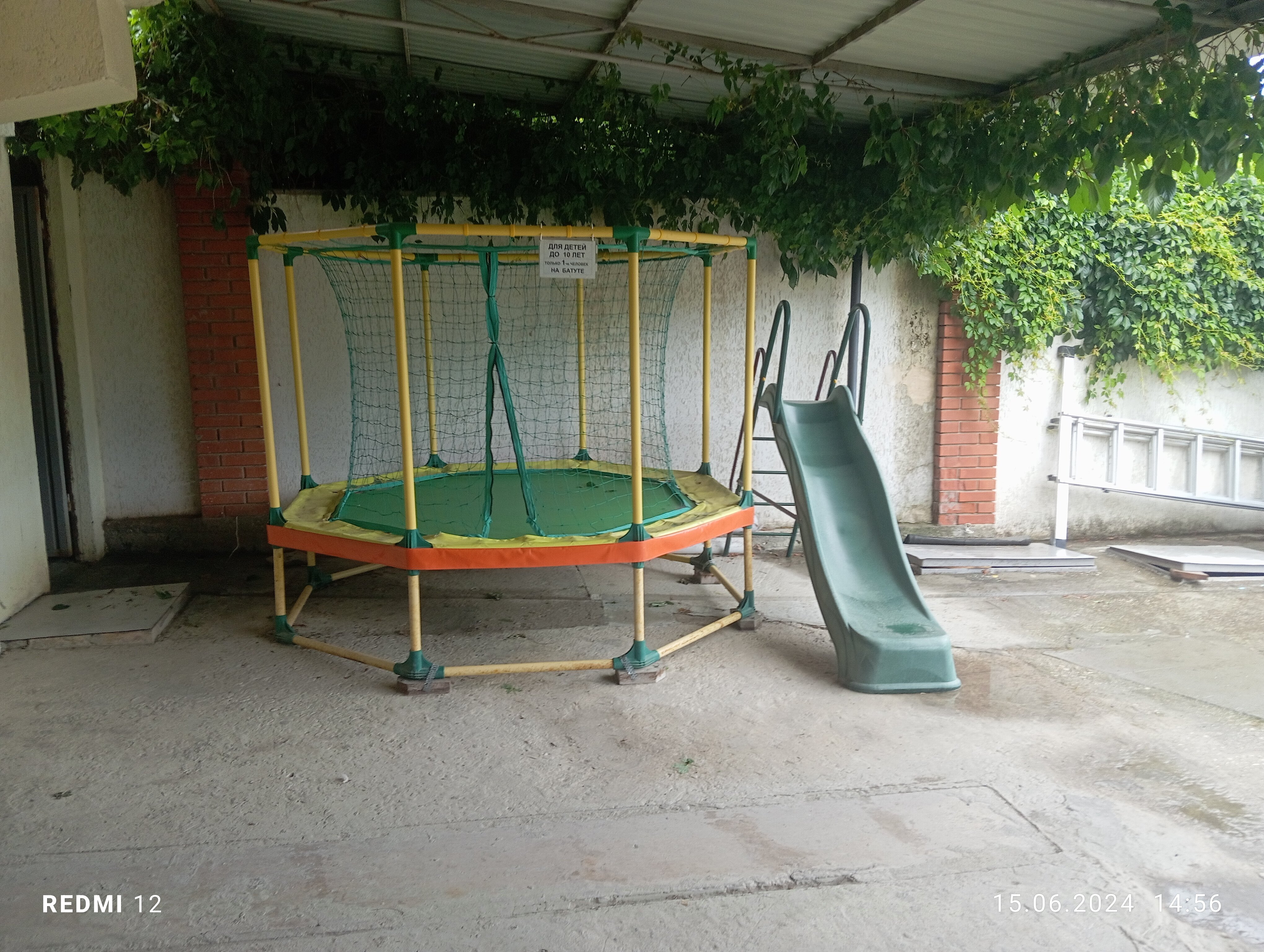 Фото Московский