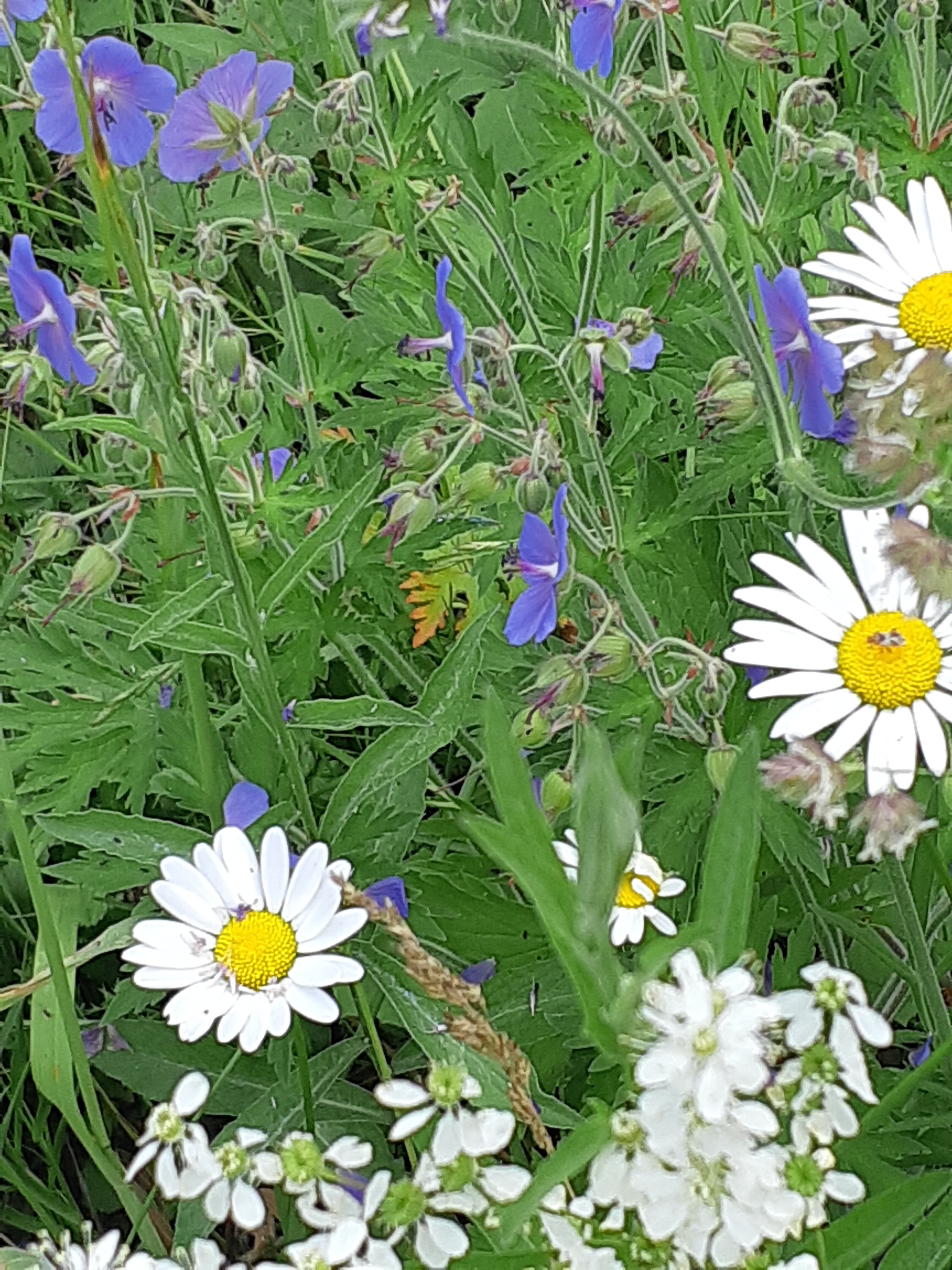 Фото Усадьба Тишина