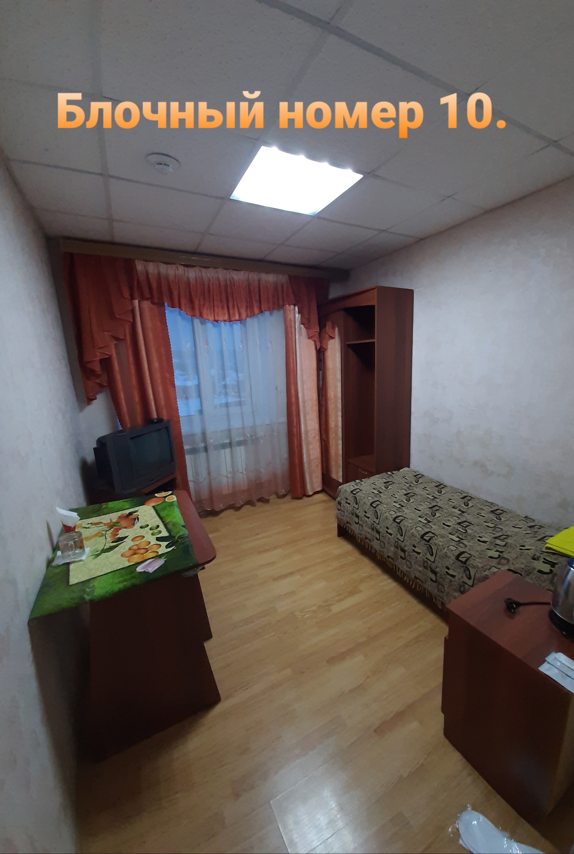 Фото Колибри