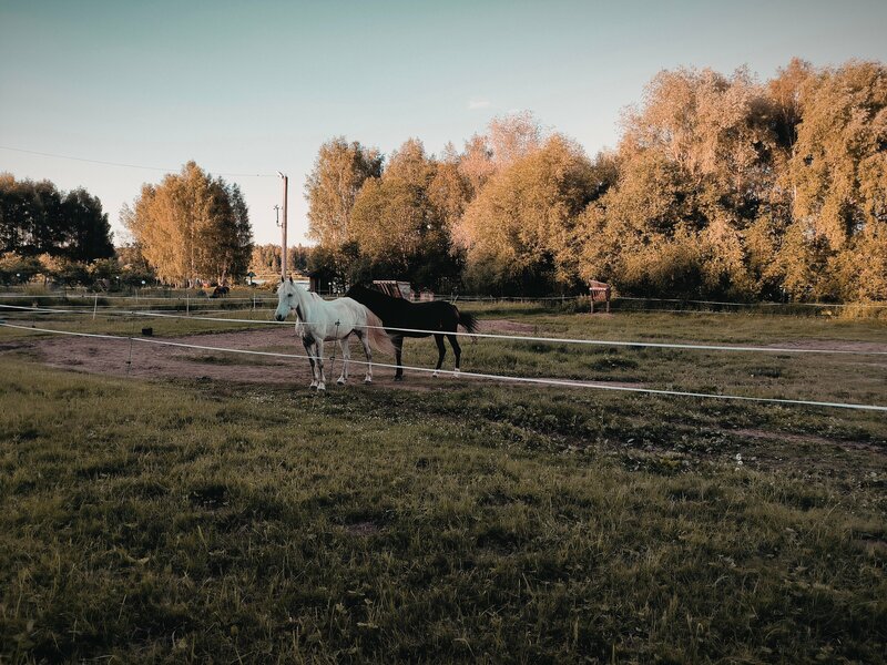Большая Волга — фото 30