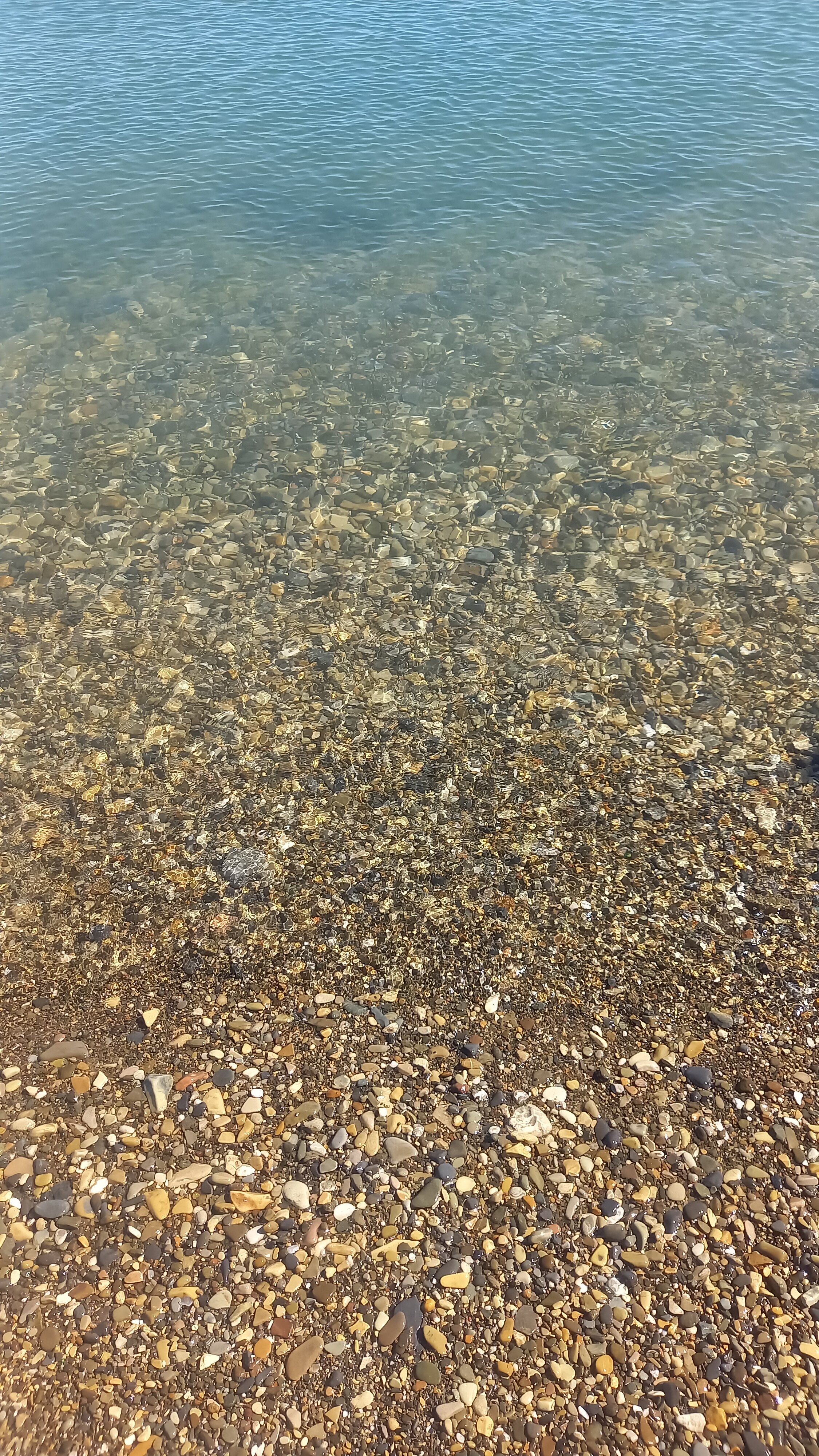 Фото Аркадия