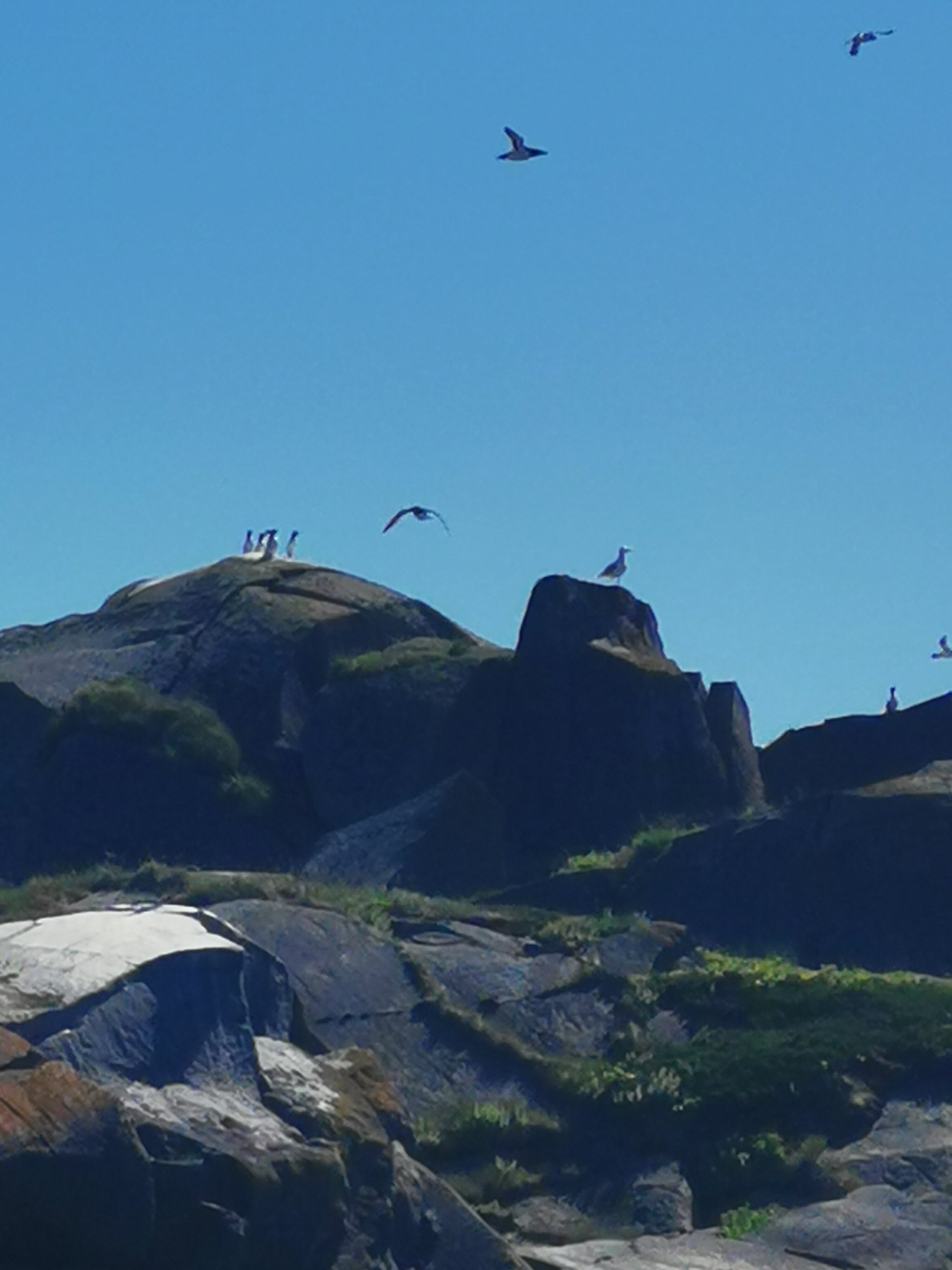 Фото Онежская гора