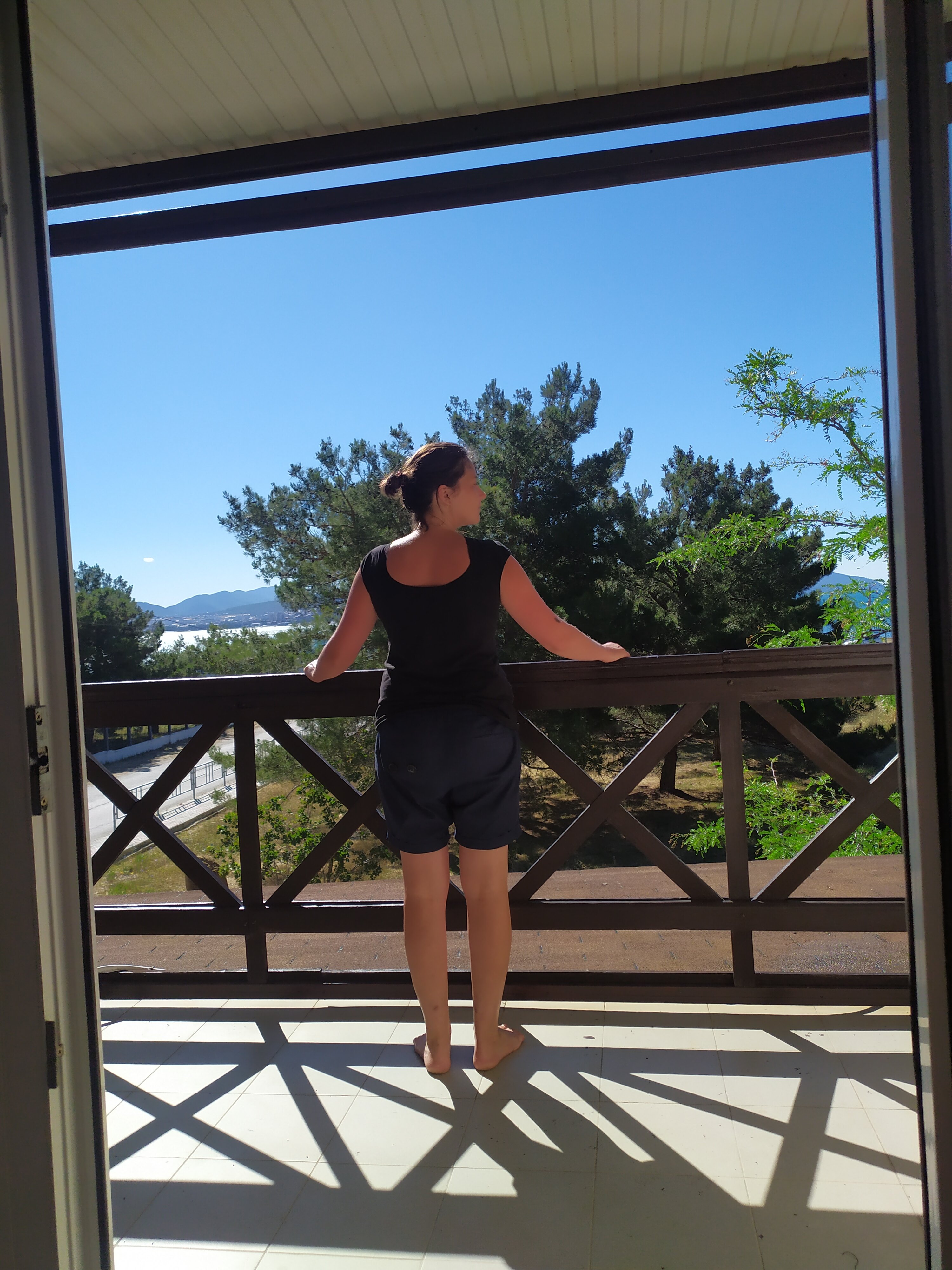 Фото Большая Черепаха