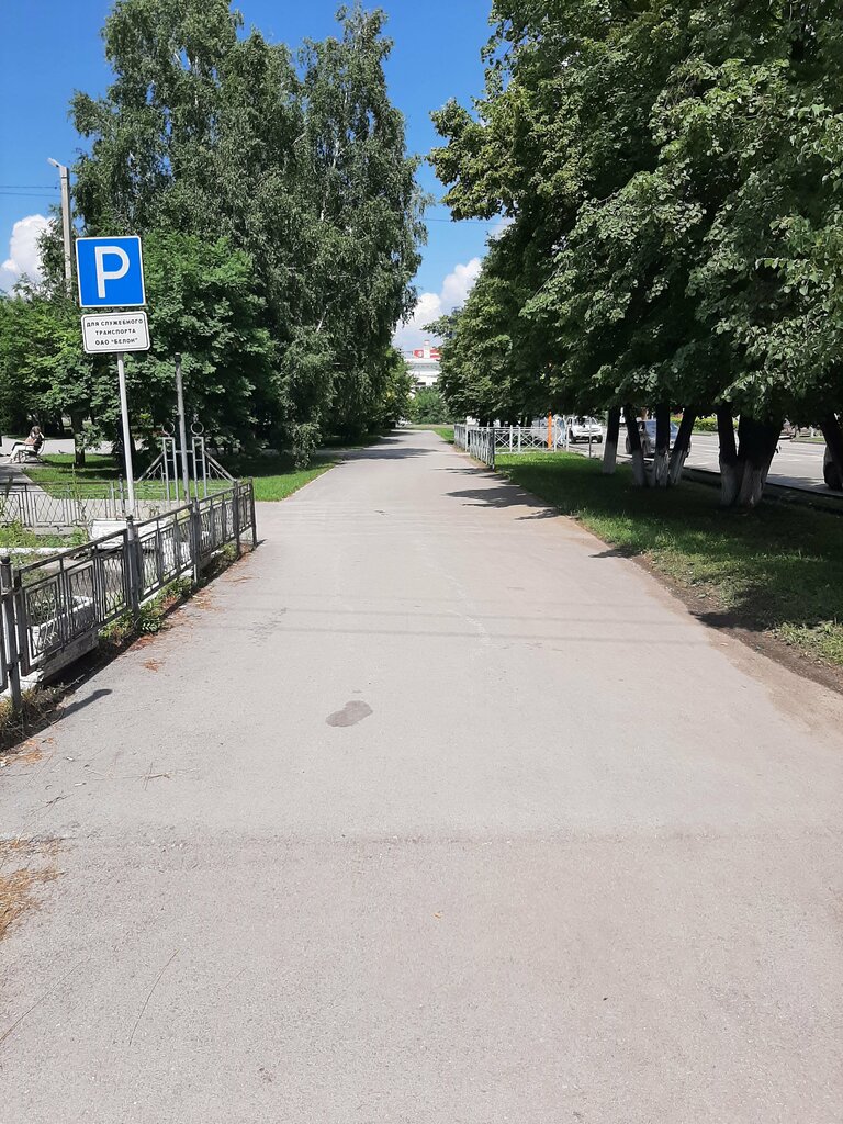 منتزه сквер Яблоневый сад ، ، صورة