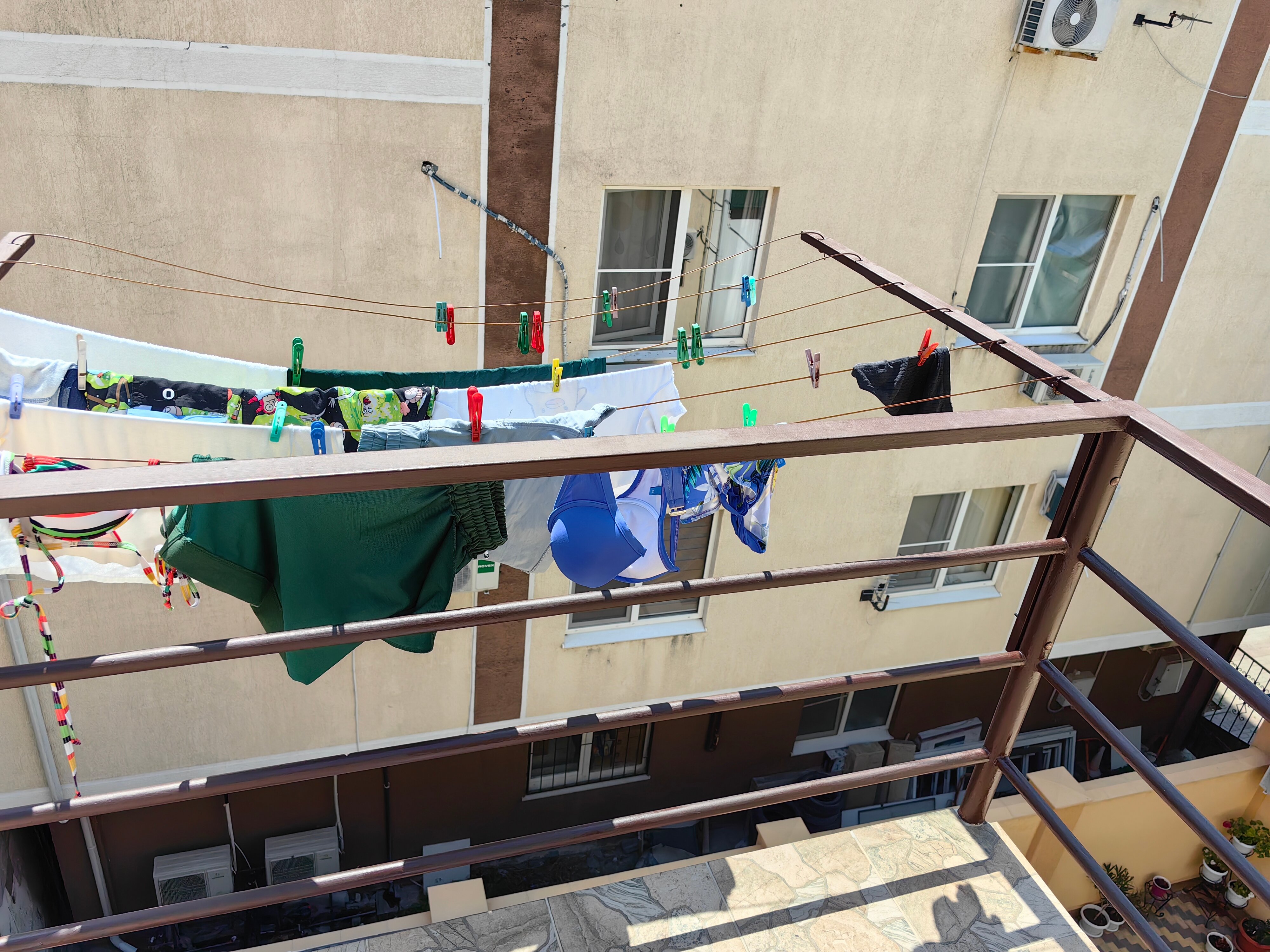 Фото Жасмин