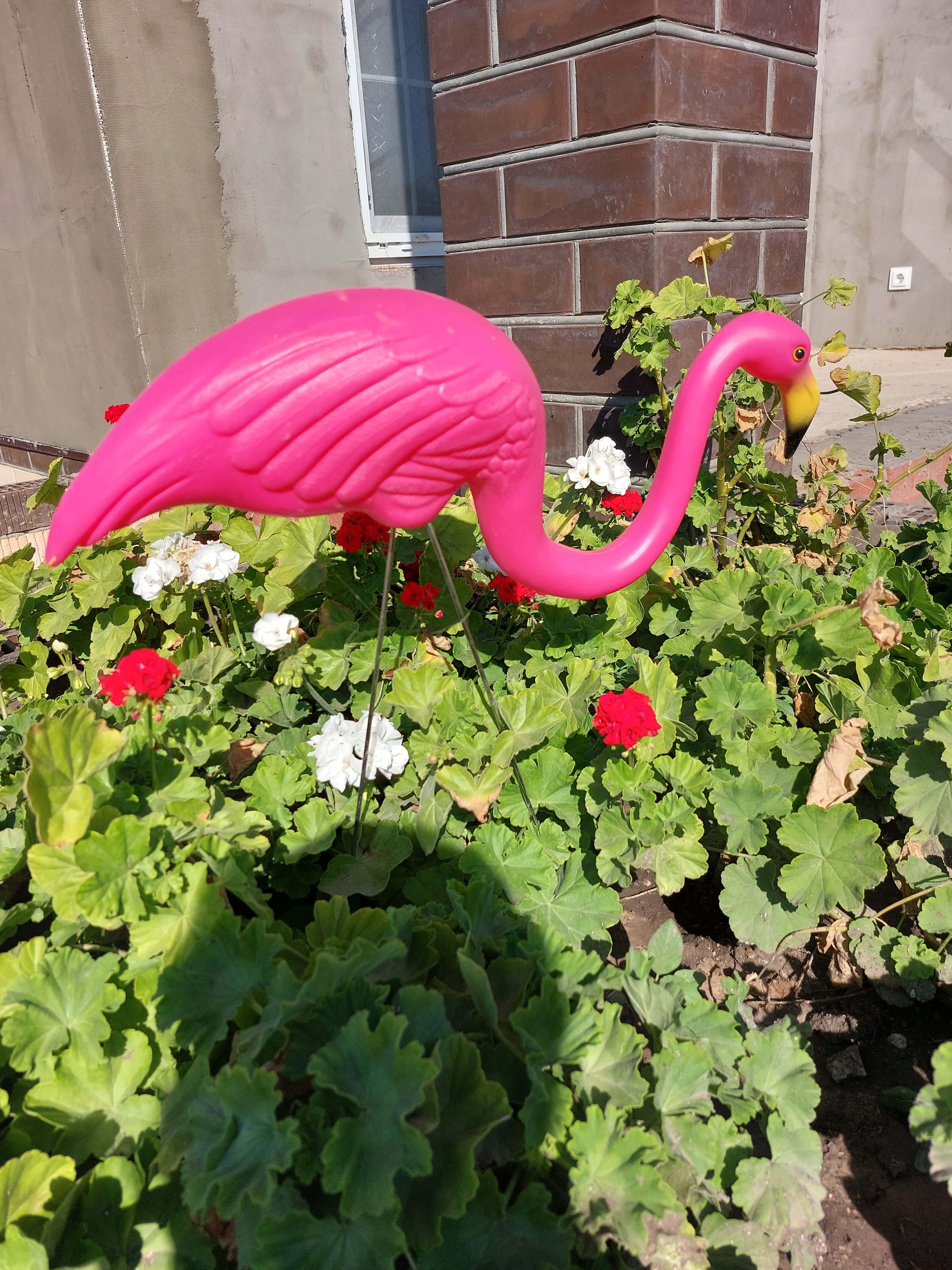 Фото Мадагаскар