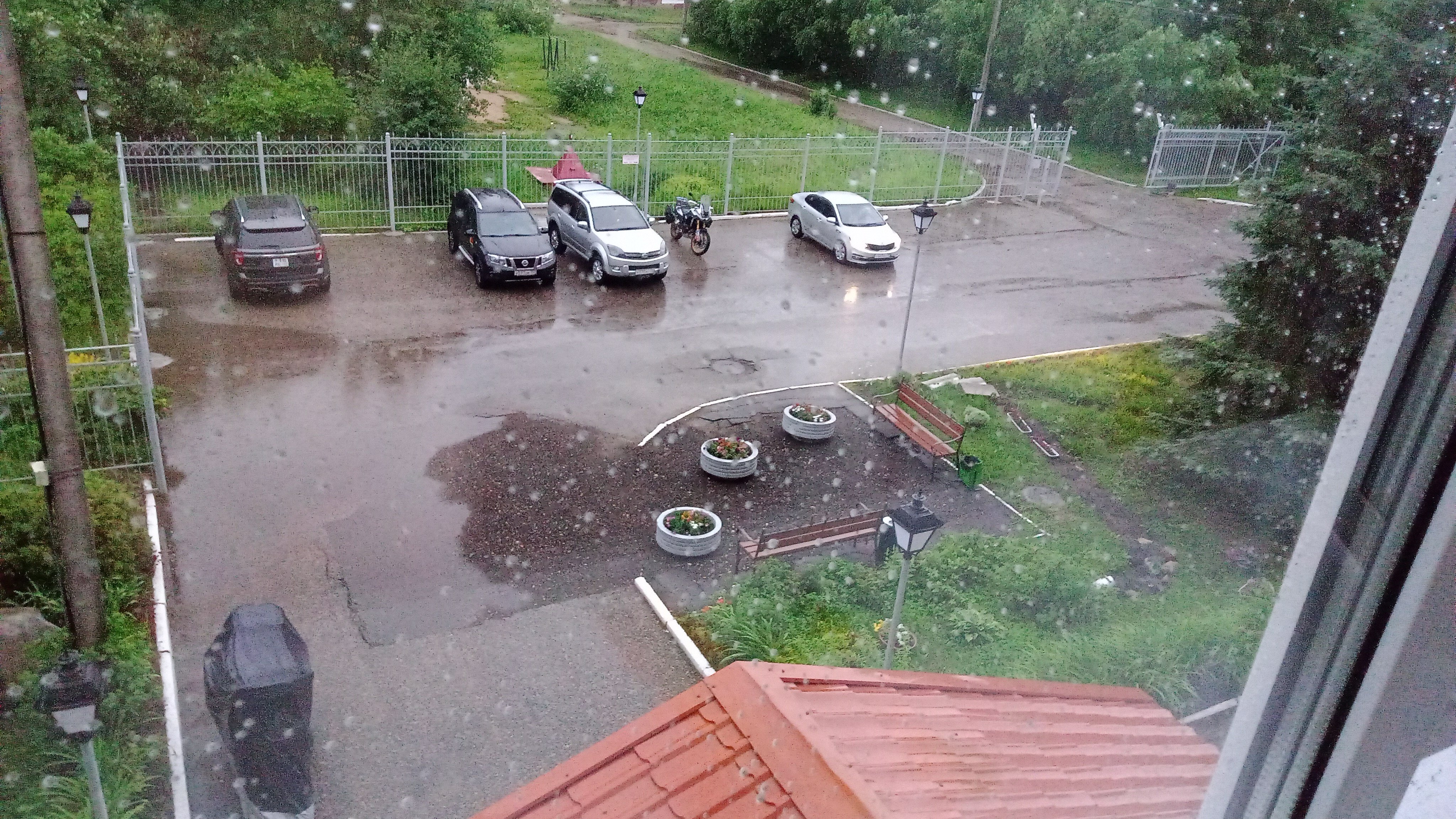 Фото Виктория