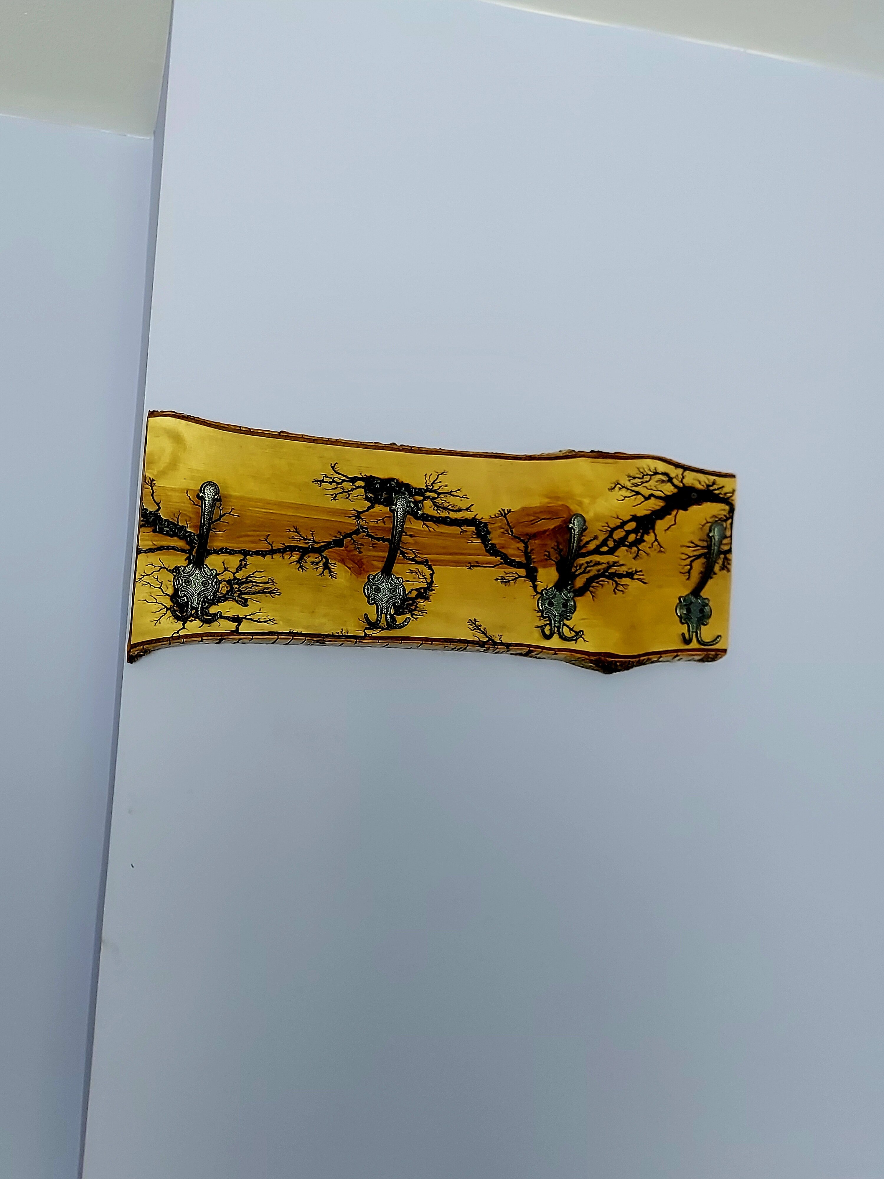 Фото Камчатдар