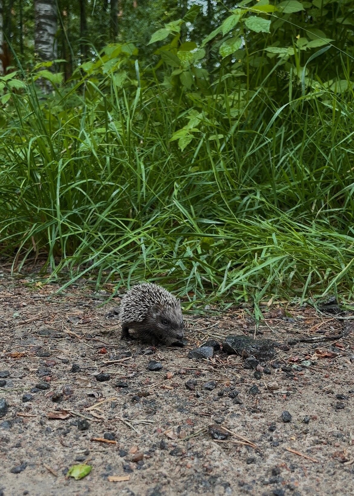 Фото Лайфклаб