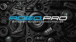 Adeo. Pro (Severnaya ulitsa, 63), tienda de repuestos y artículos para automóviles