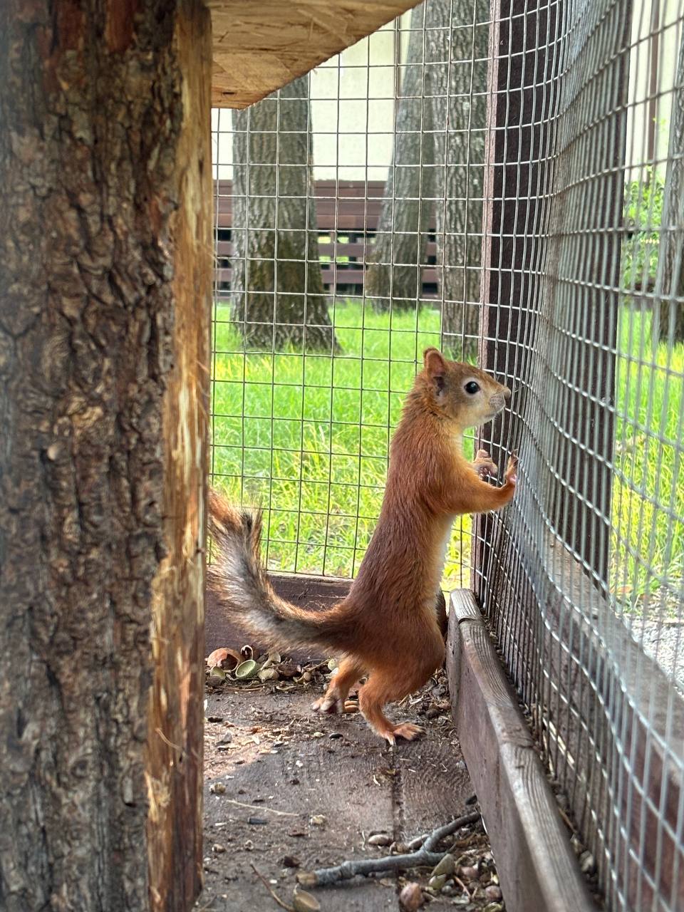 Фото Алымов