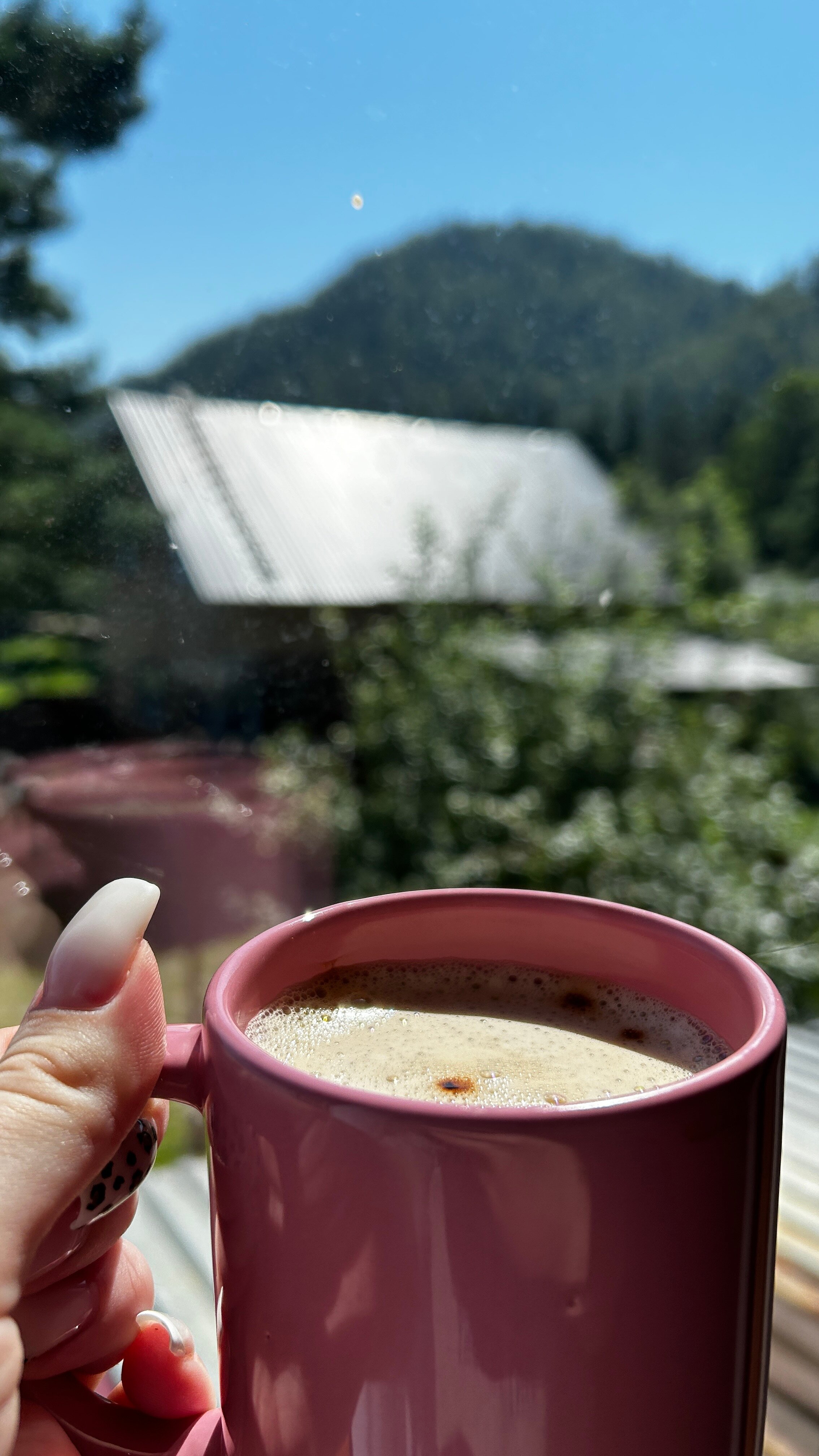 Фото Усадьба у Костра
