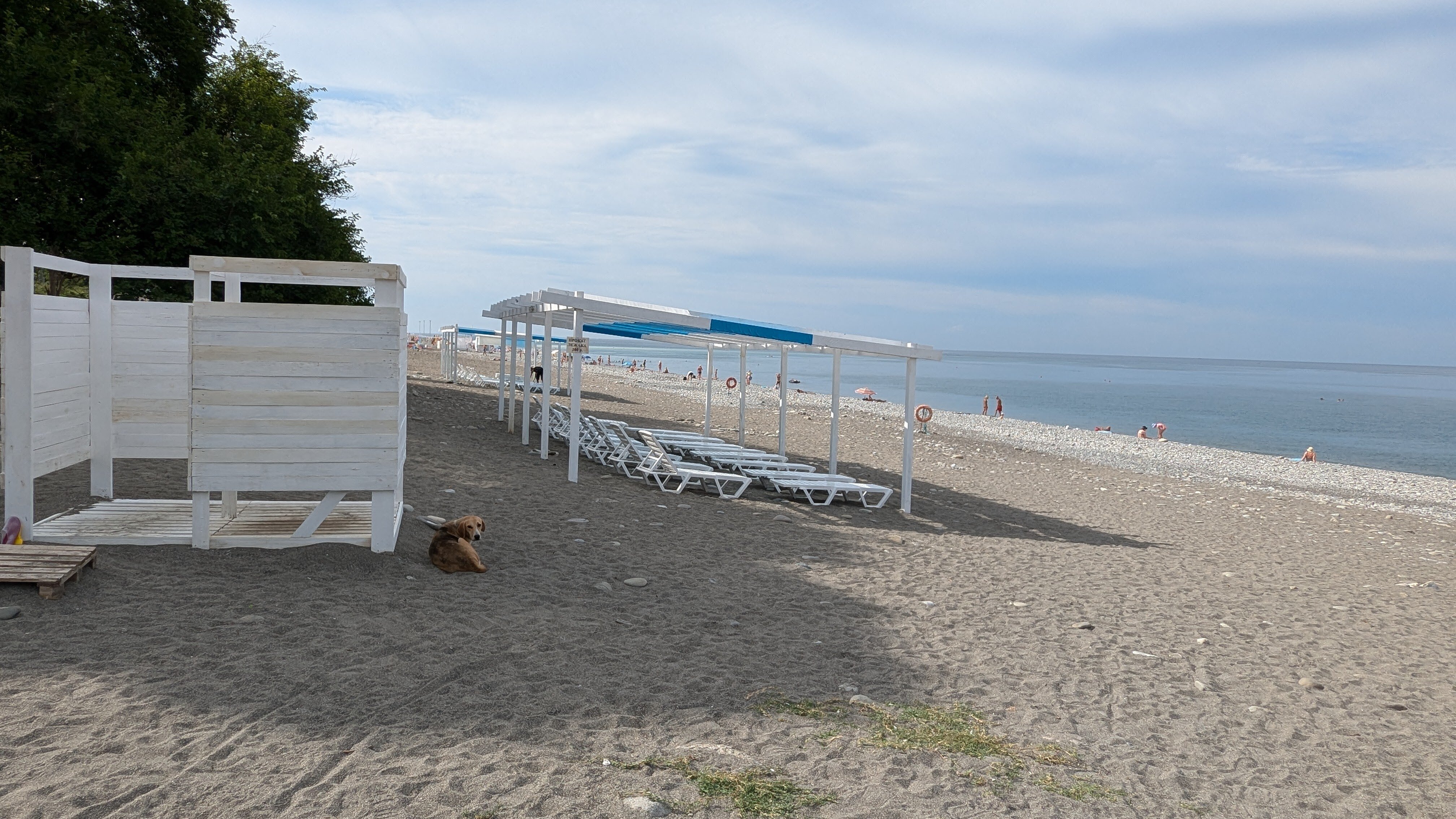 Фото Максим Парк-Лоо