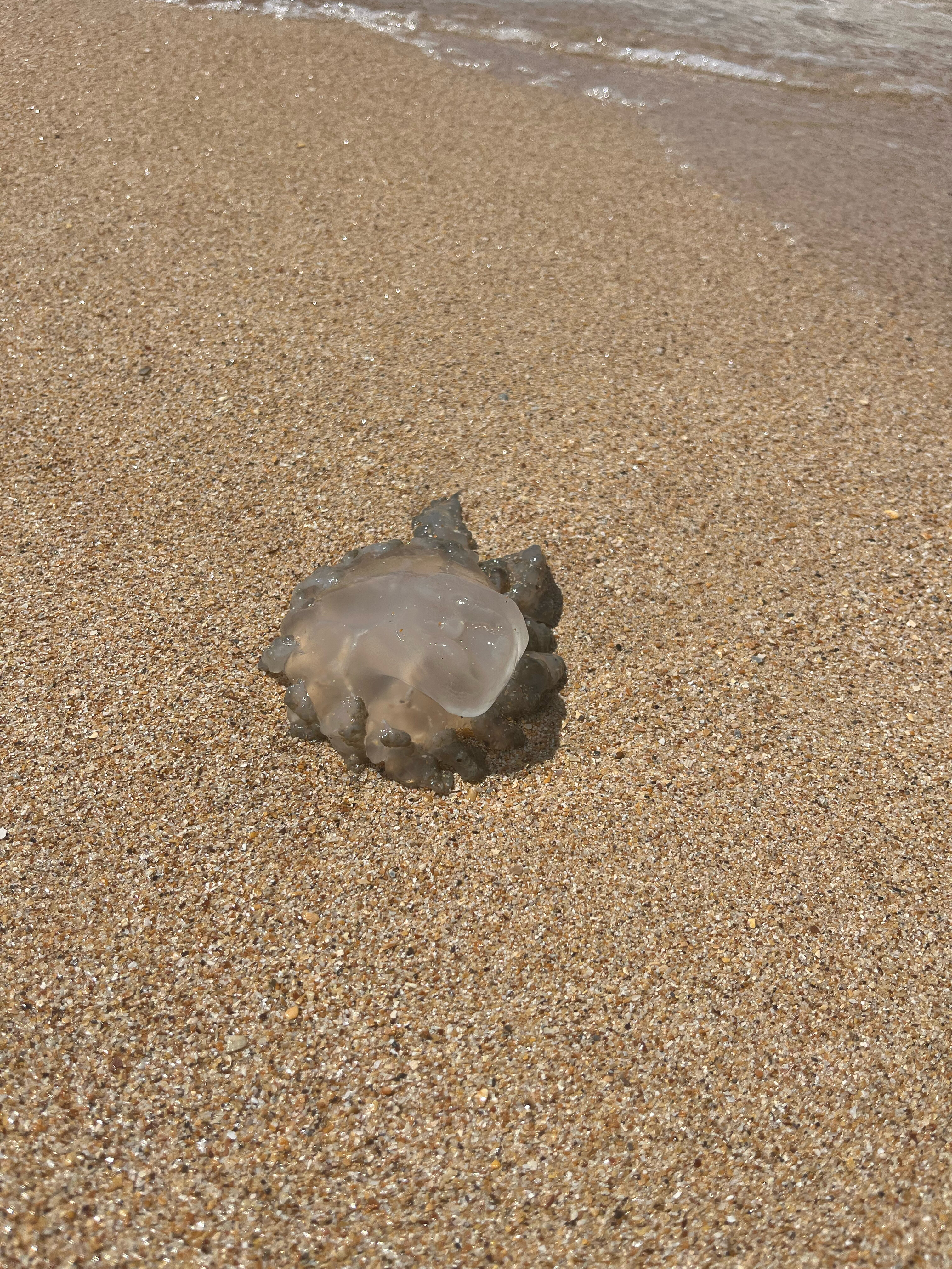 Фото Дом на пляже