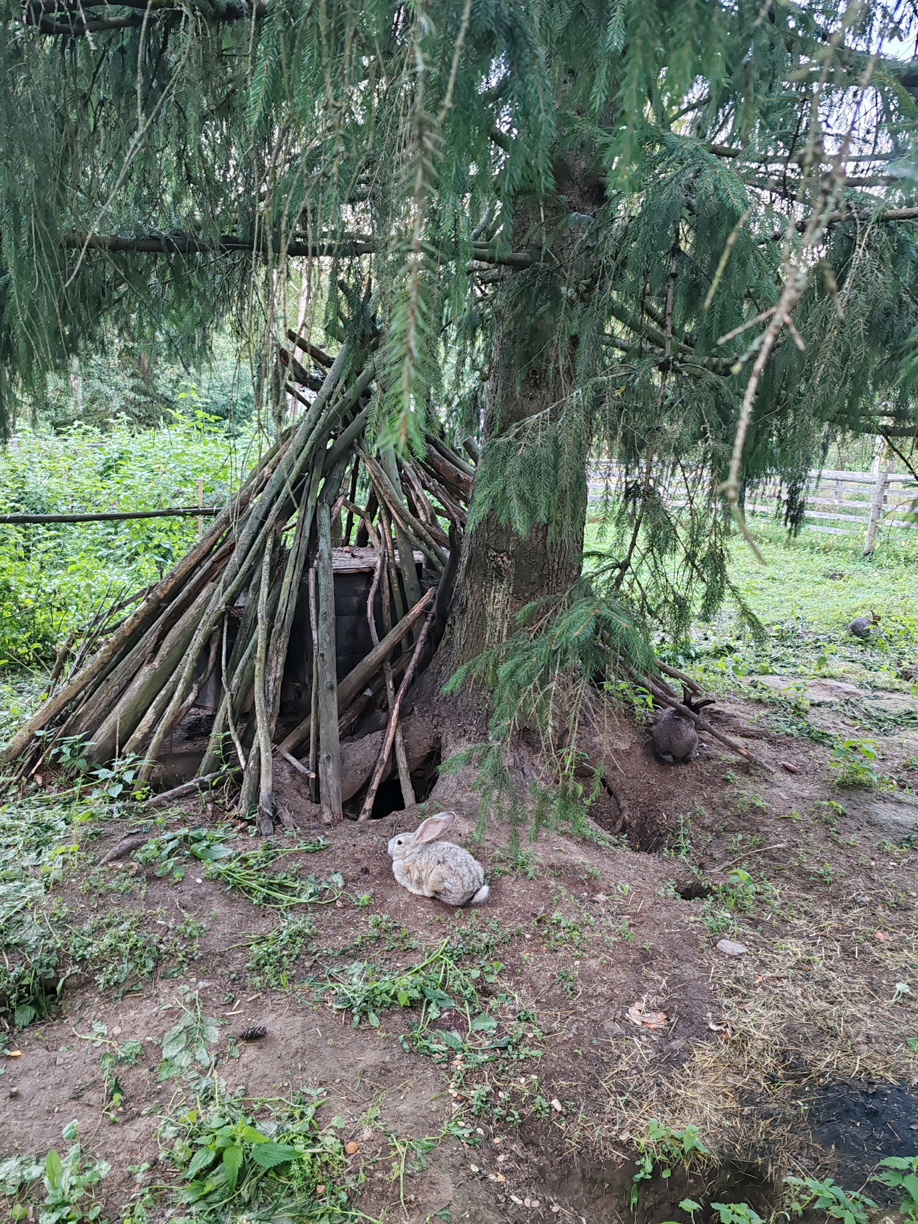 Фото ЭтноуСАДьба ЗдРАвоМыслящих