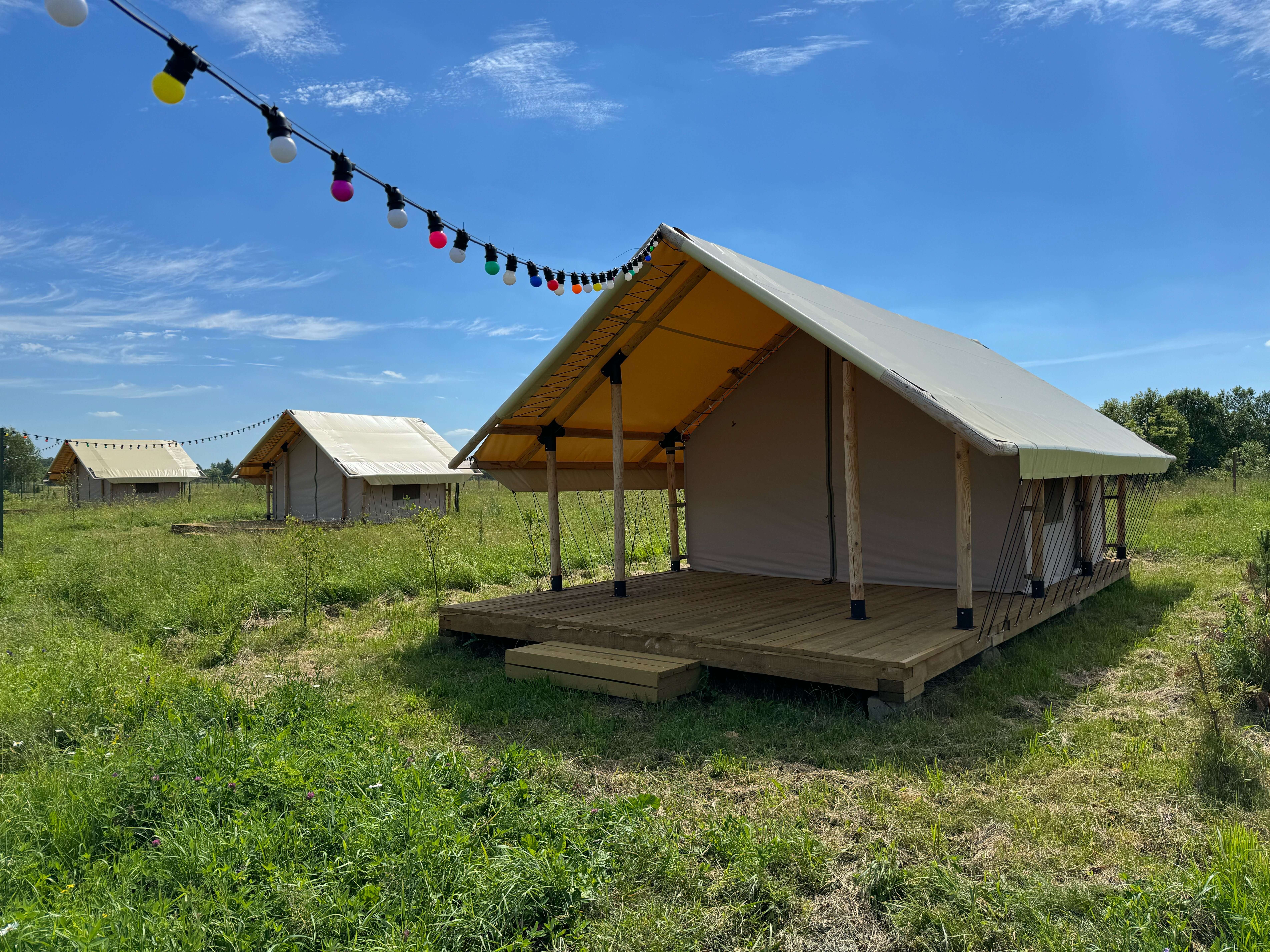 Фото Рекалеса