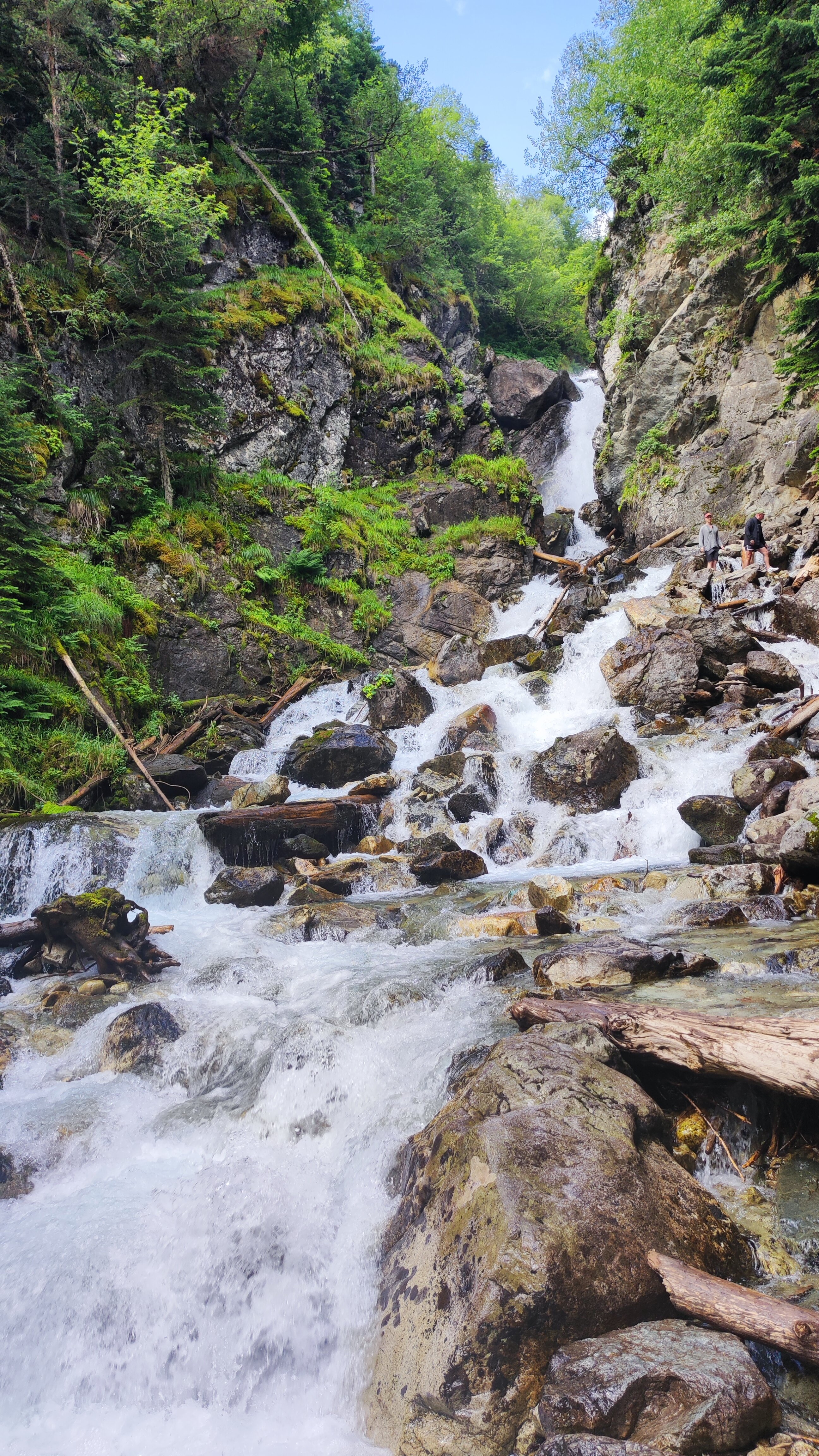 Фото Paradise Forest