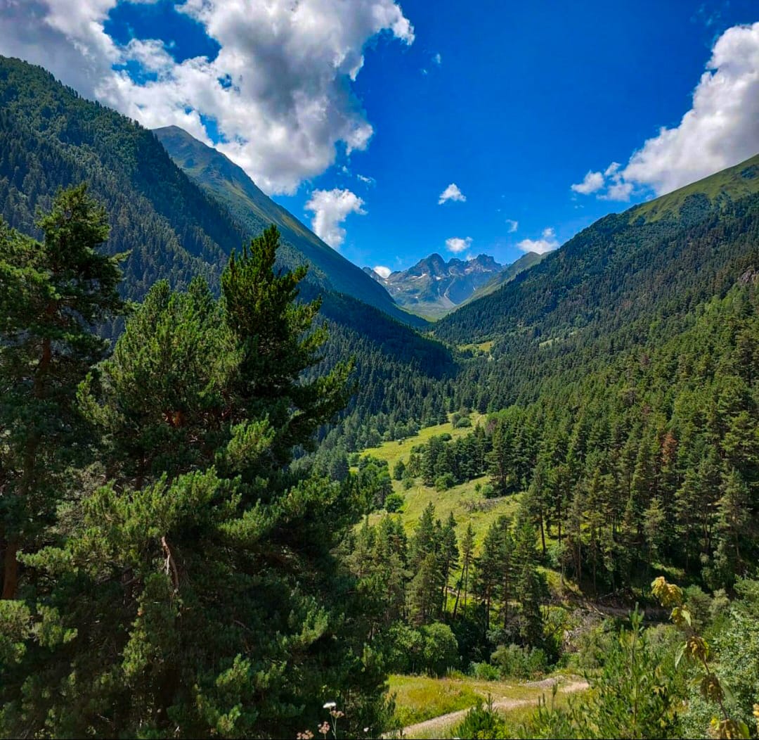 Фото Dombay family