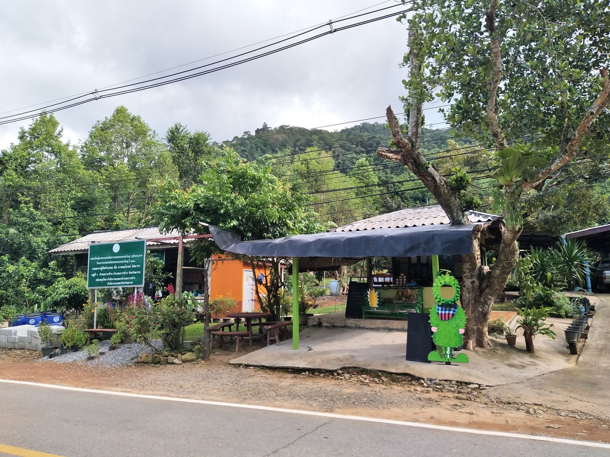 Фото Somphoch Garden