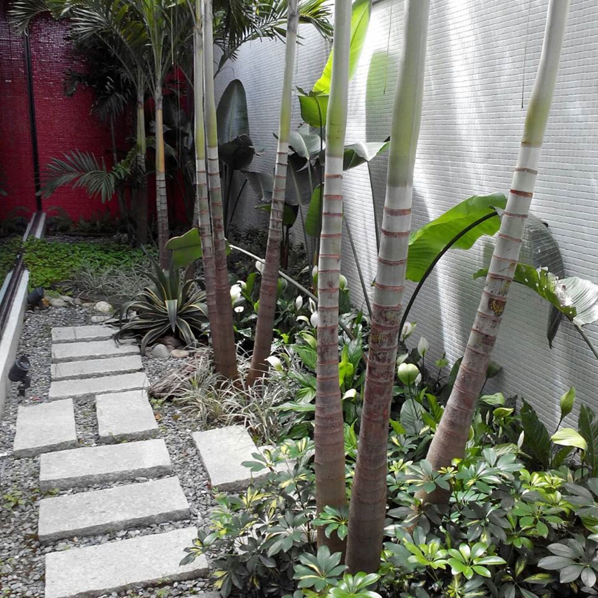 Фото All-Ur Boutique Motel - Tai-Tung Branch